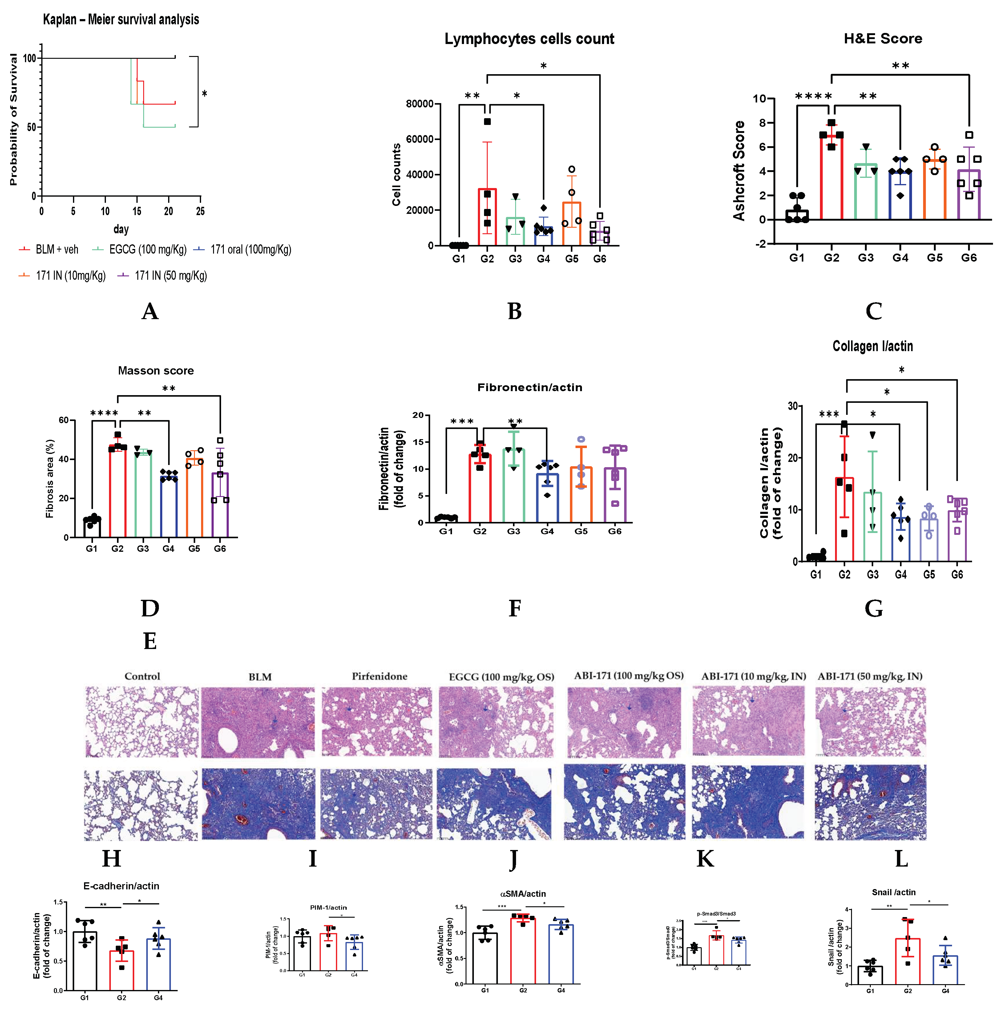 Preprints 120119 g002