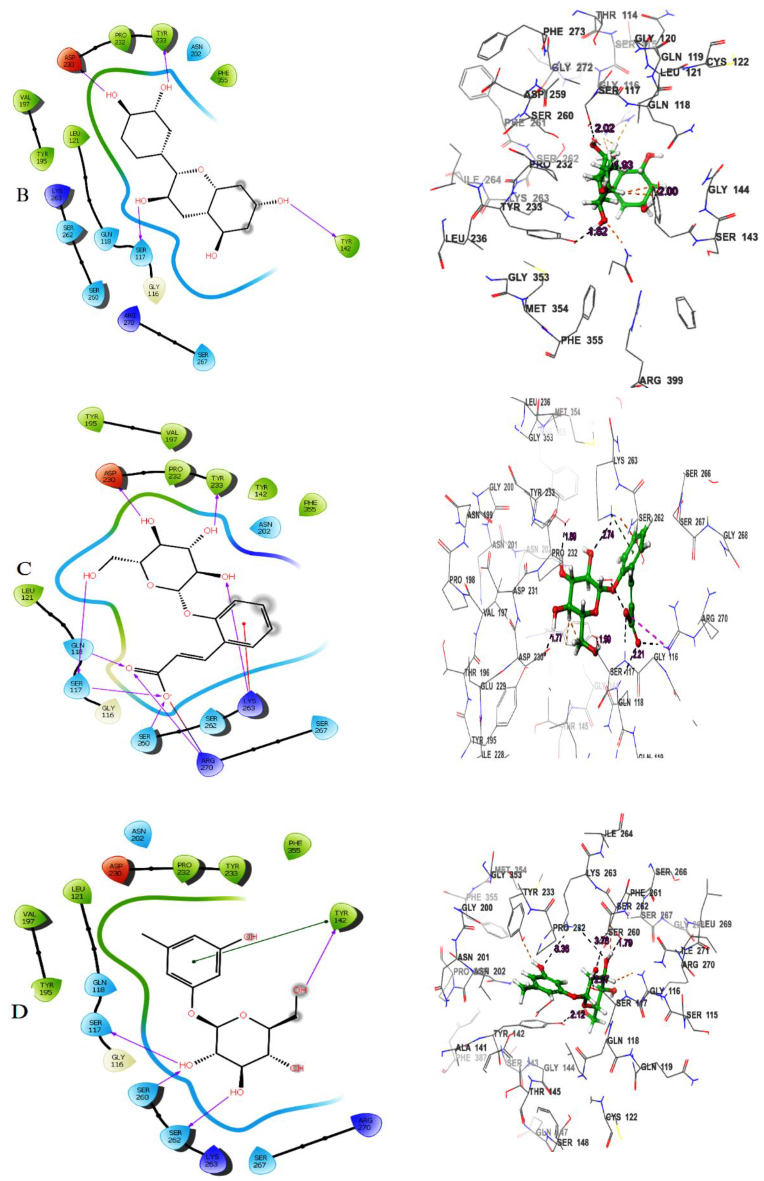 Preprints 116359 g001b