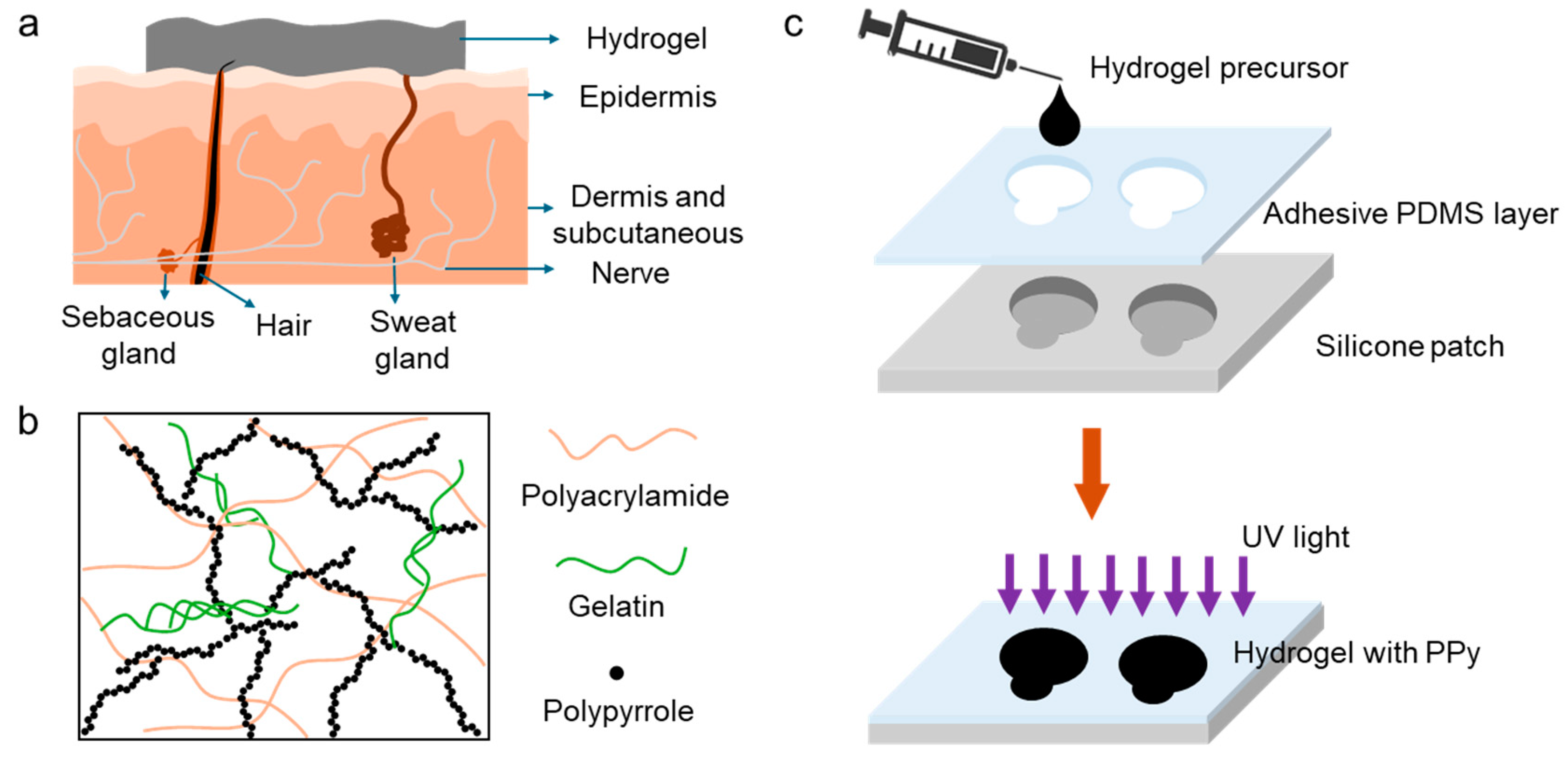 Preprints 112065 g001