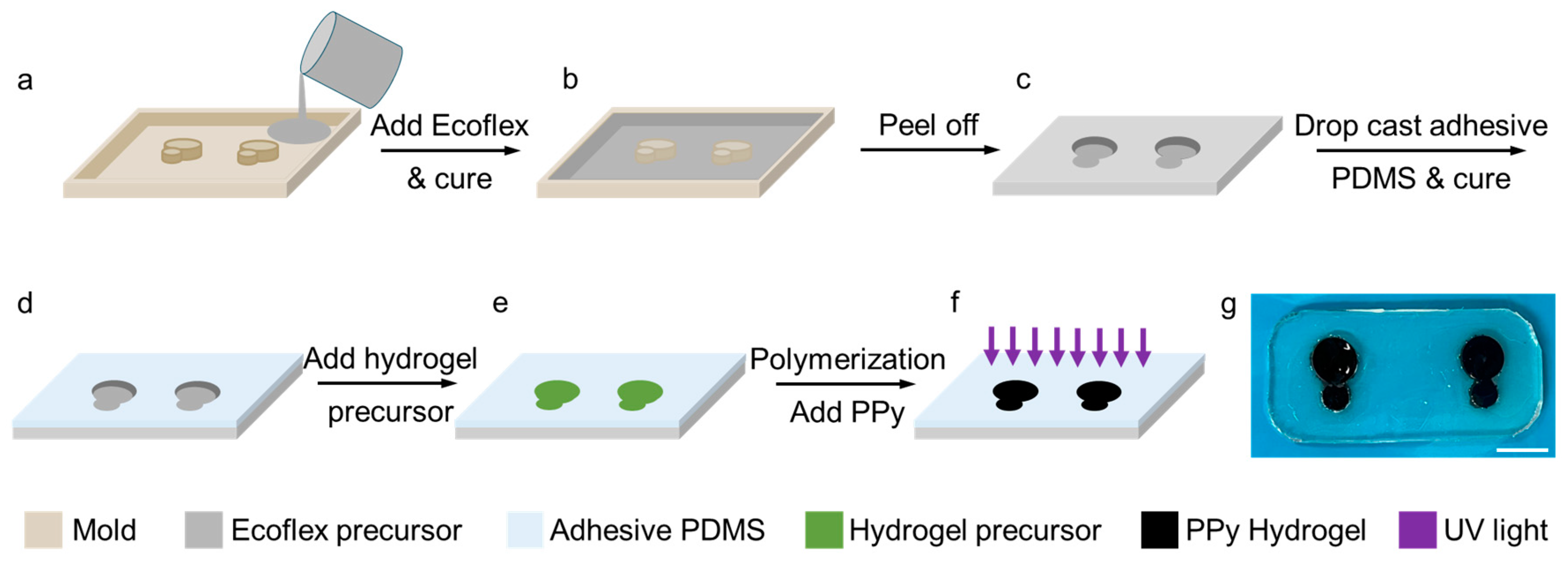 Preprints 112065 g002