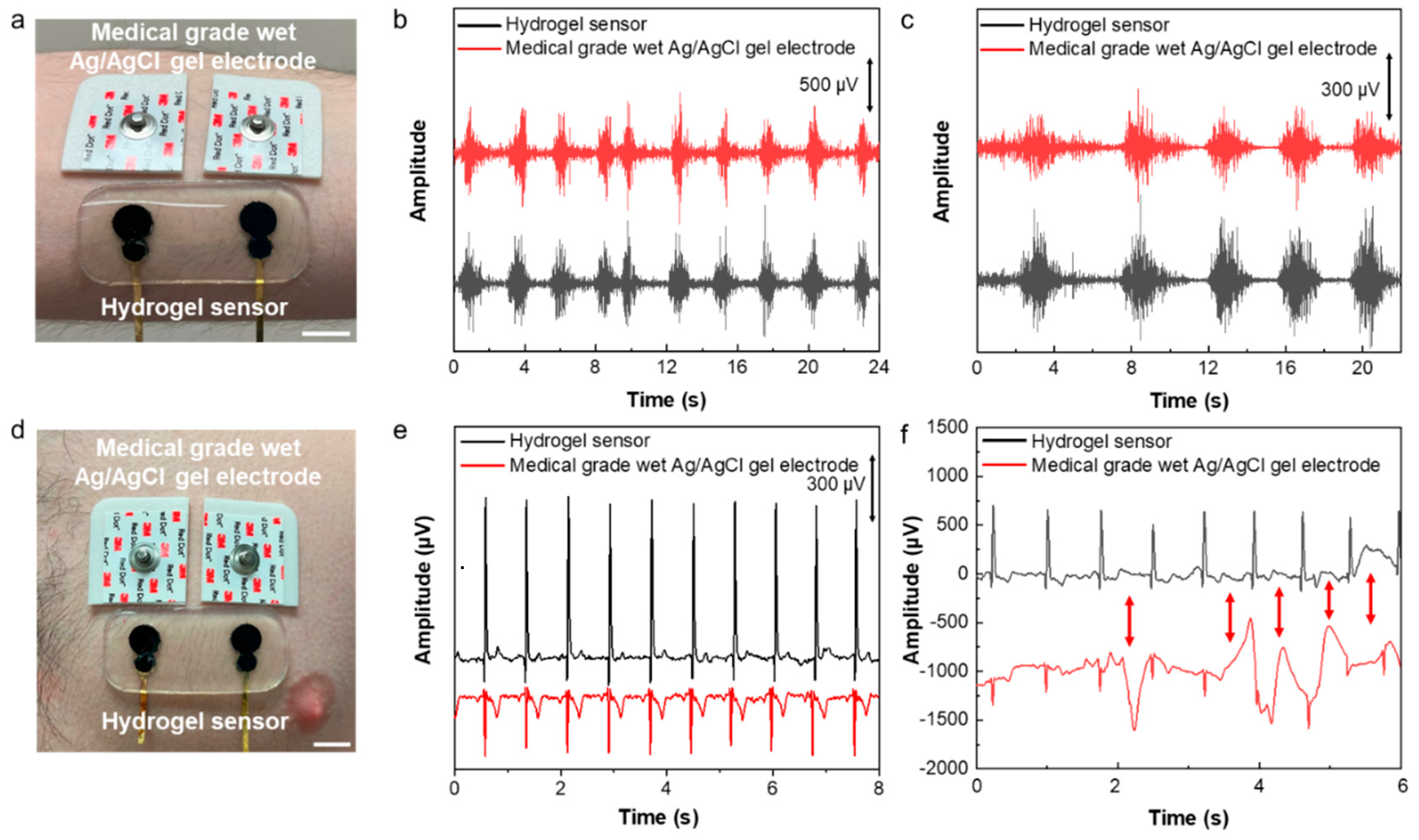 Preprints 112065 g004