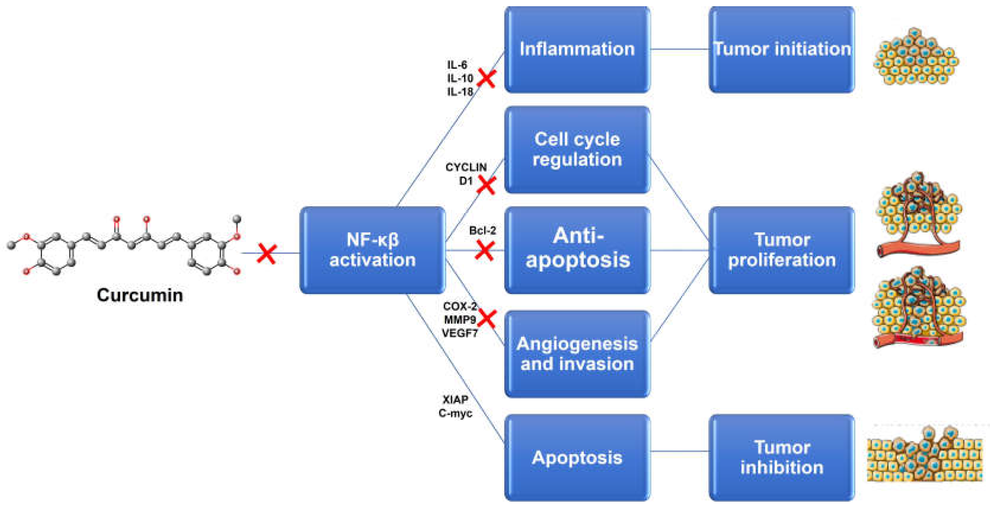 Preprints 69641 g002