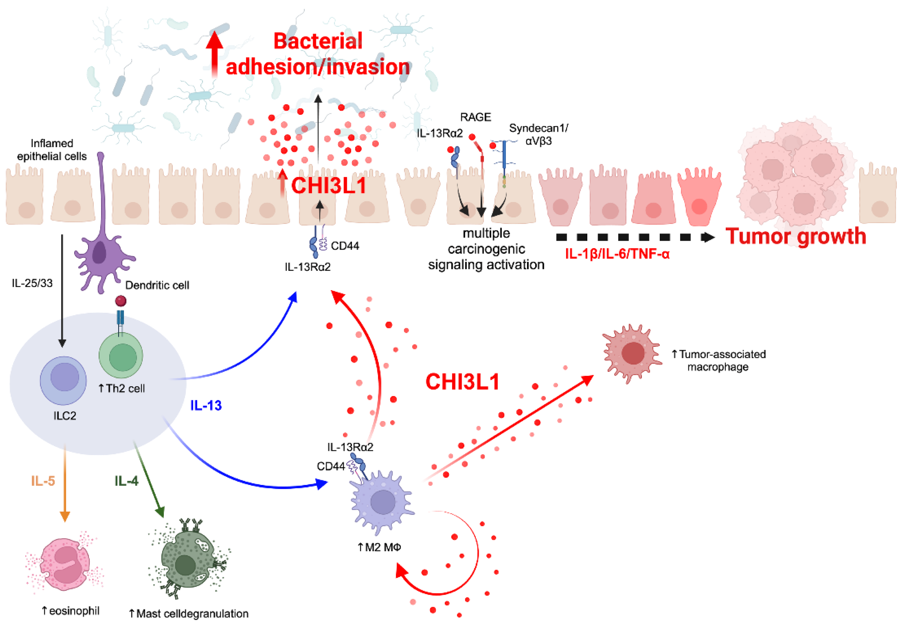 Preprints 100078 g003