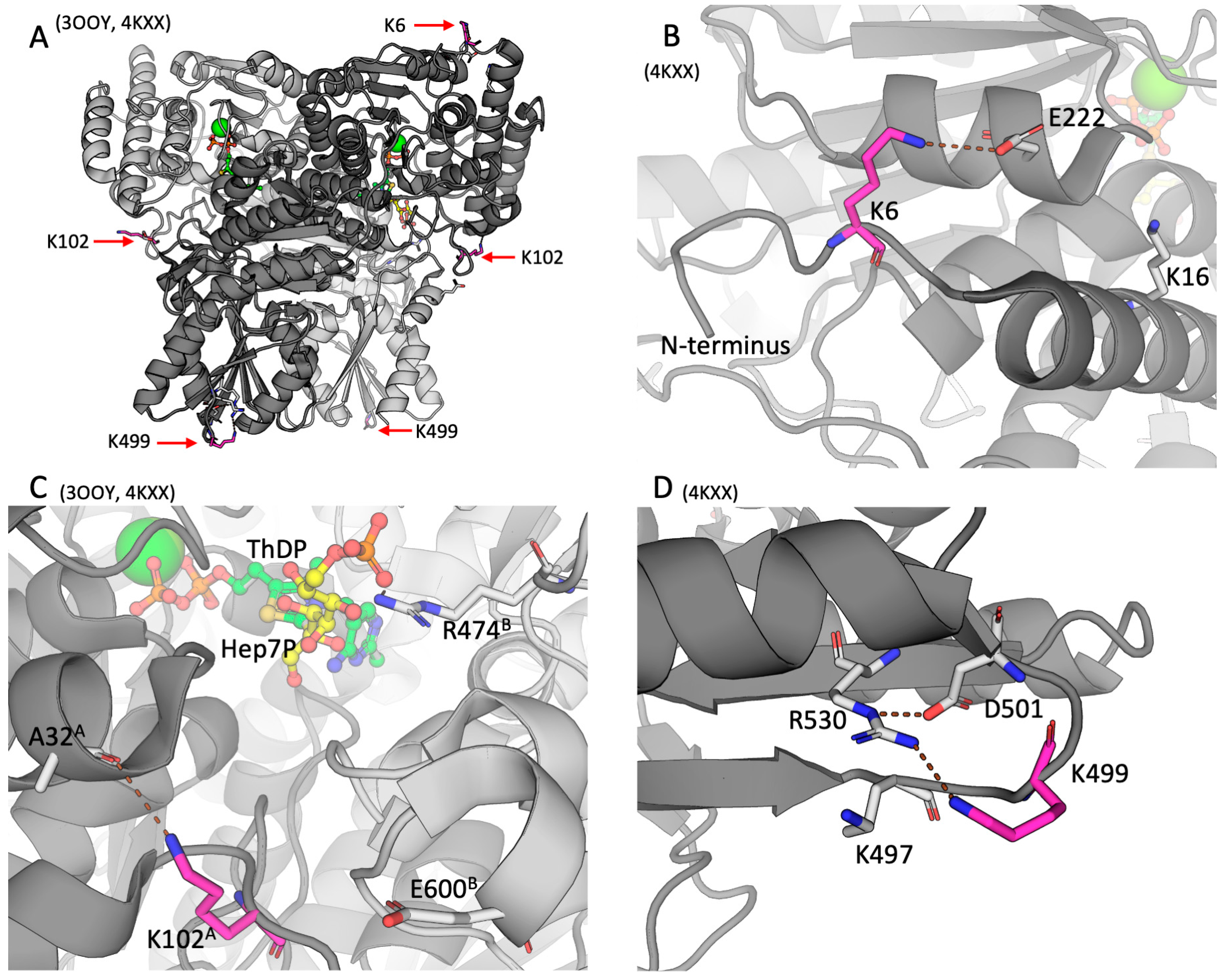 Preprints 88614 g002