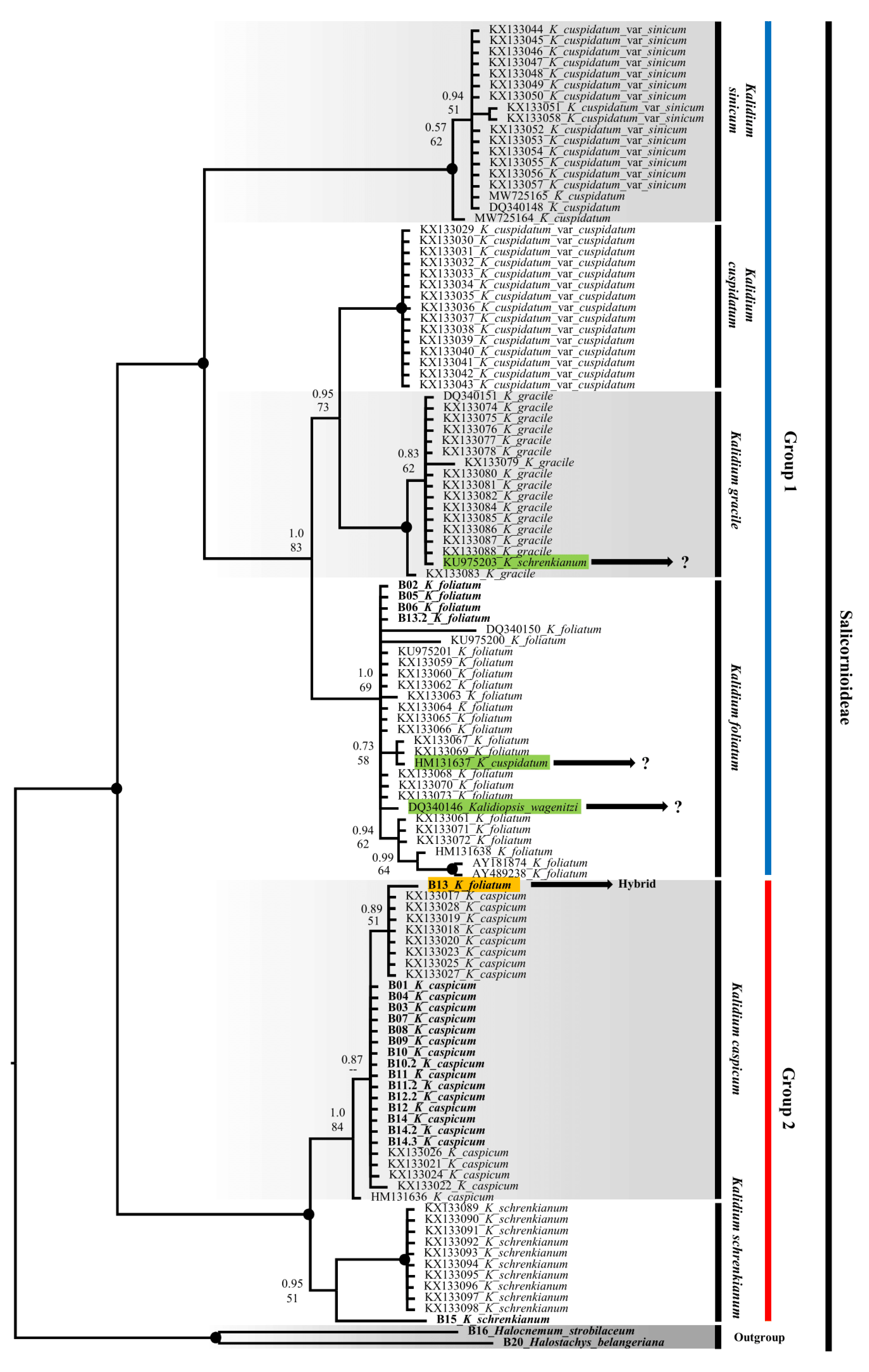 Preprints 73799 g002