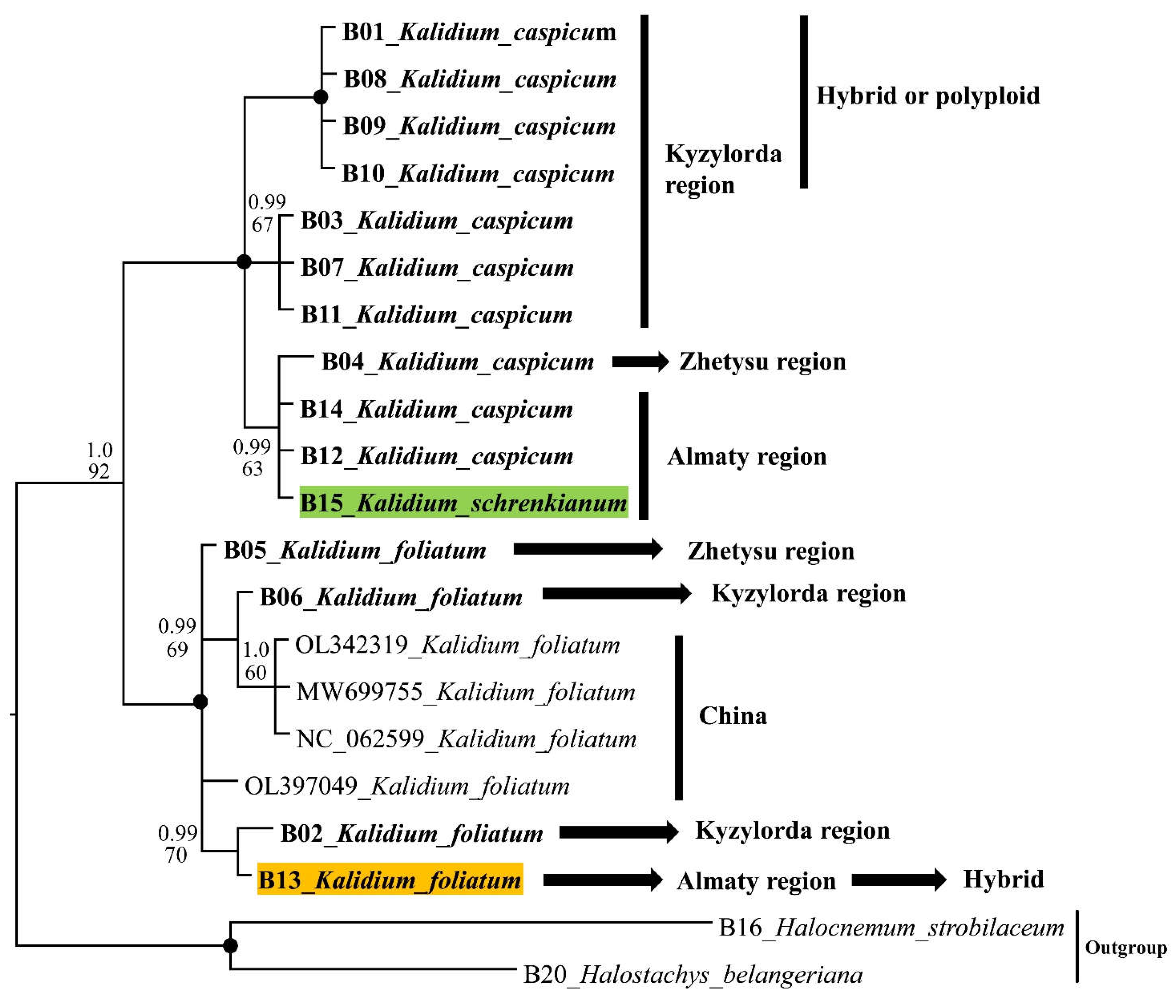 Preprints 73799 g003