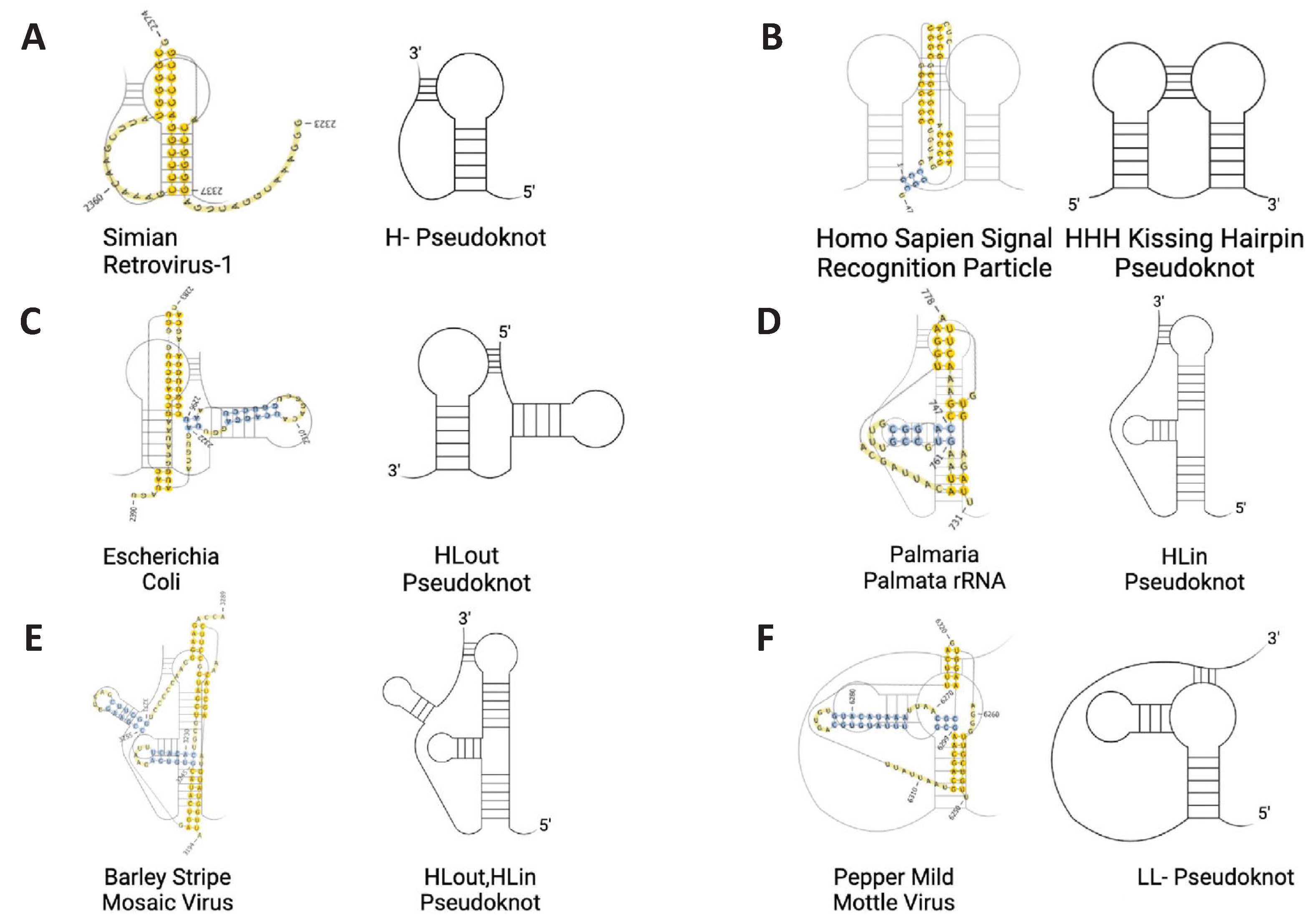 Preprints 100920 g002