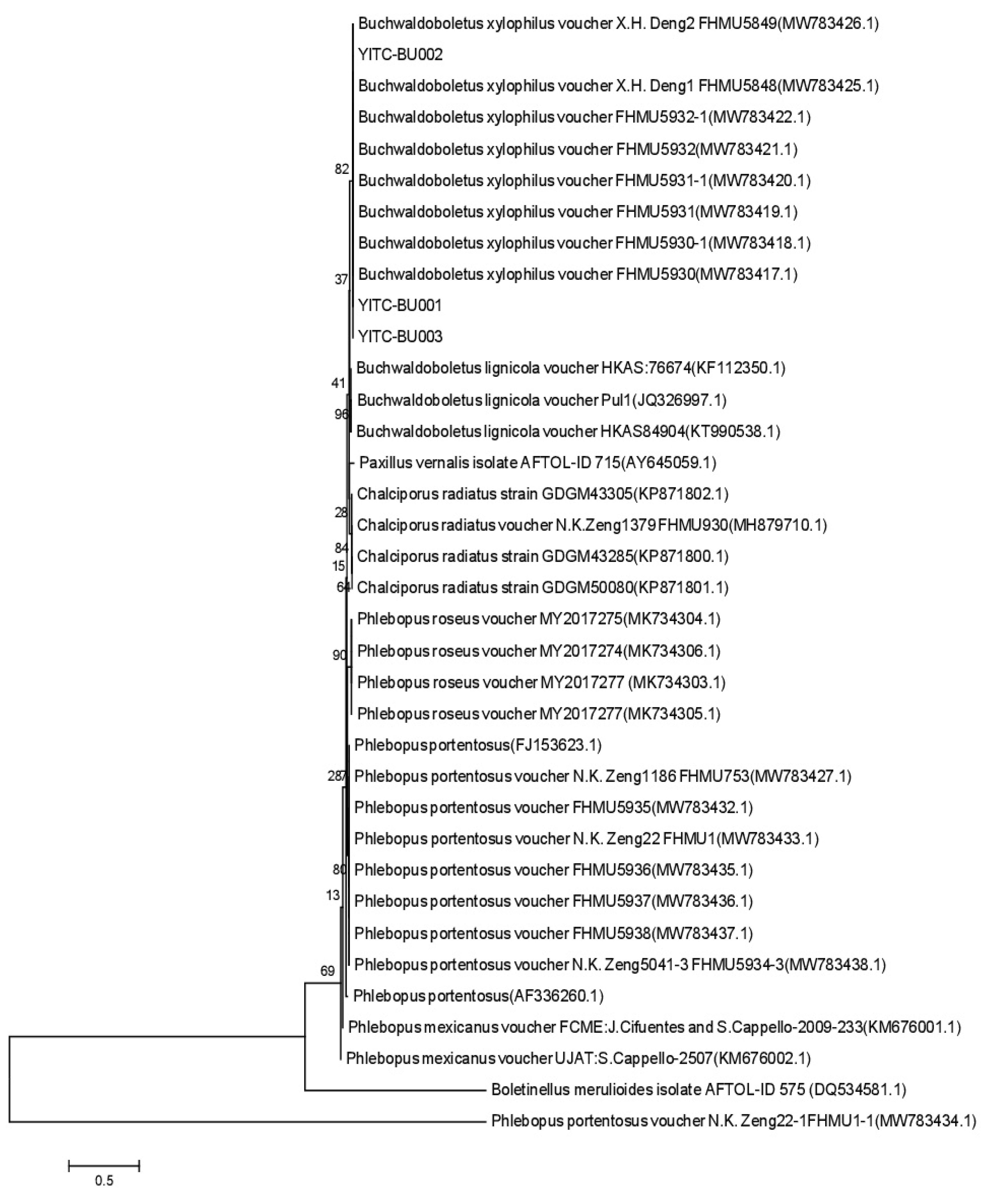 Preprints 142075 g007