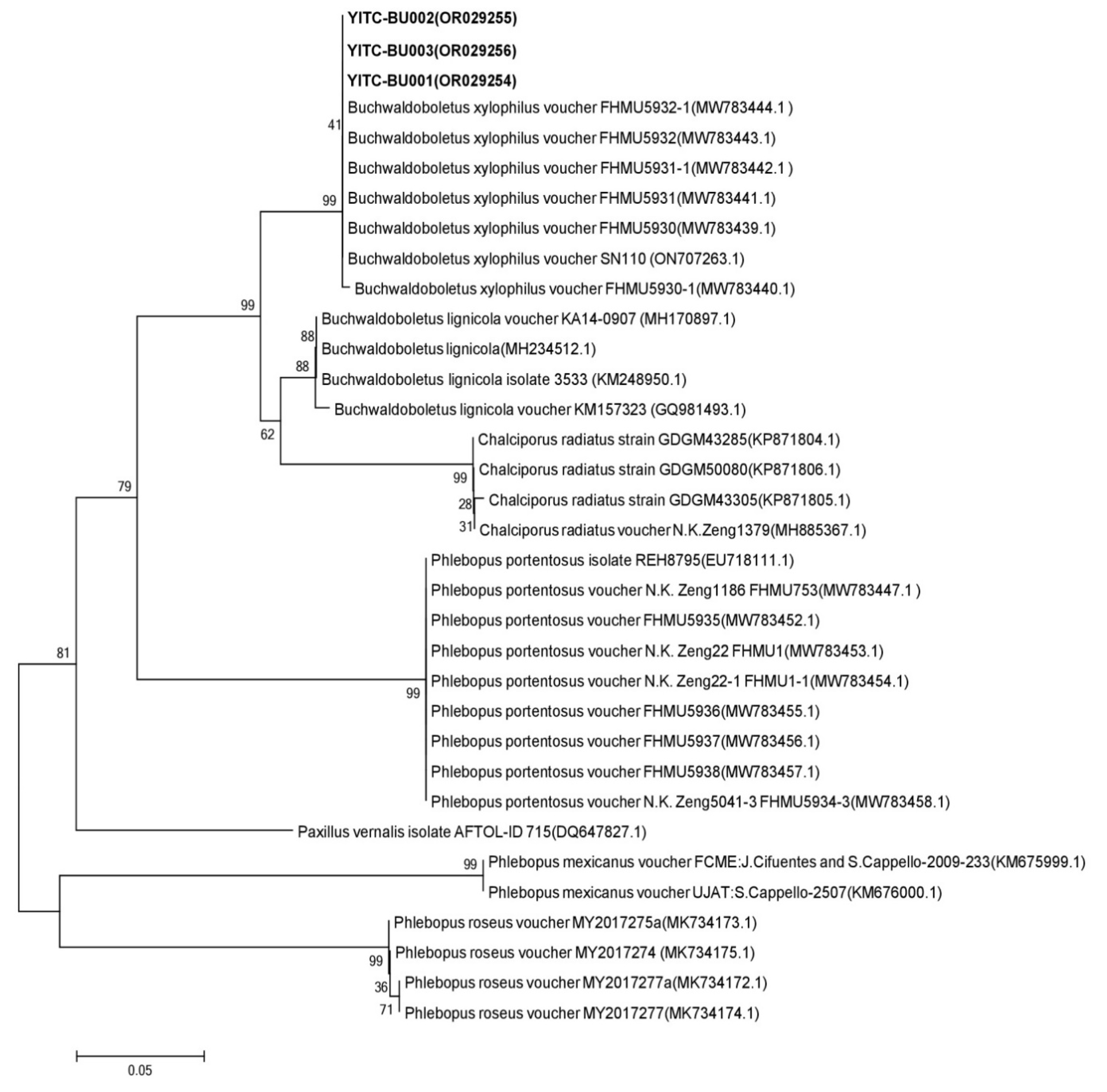 Preprints 142075 g008