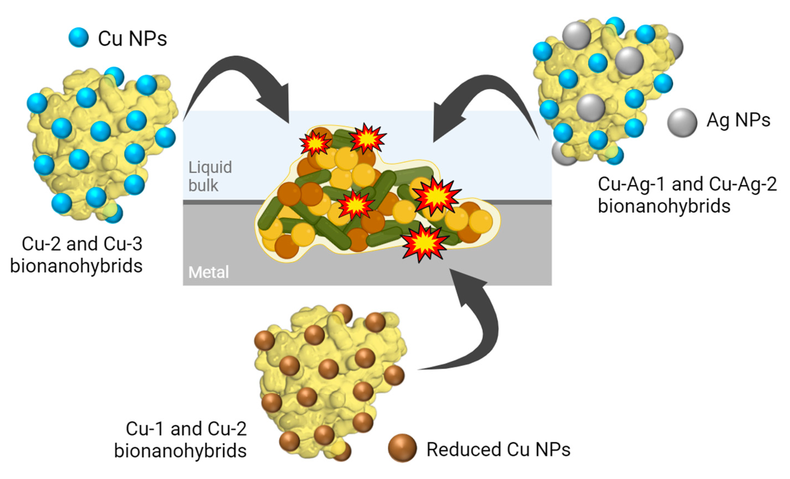 Preprints 112623 g001