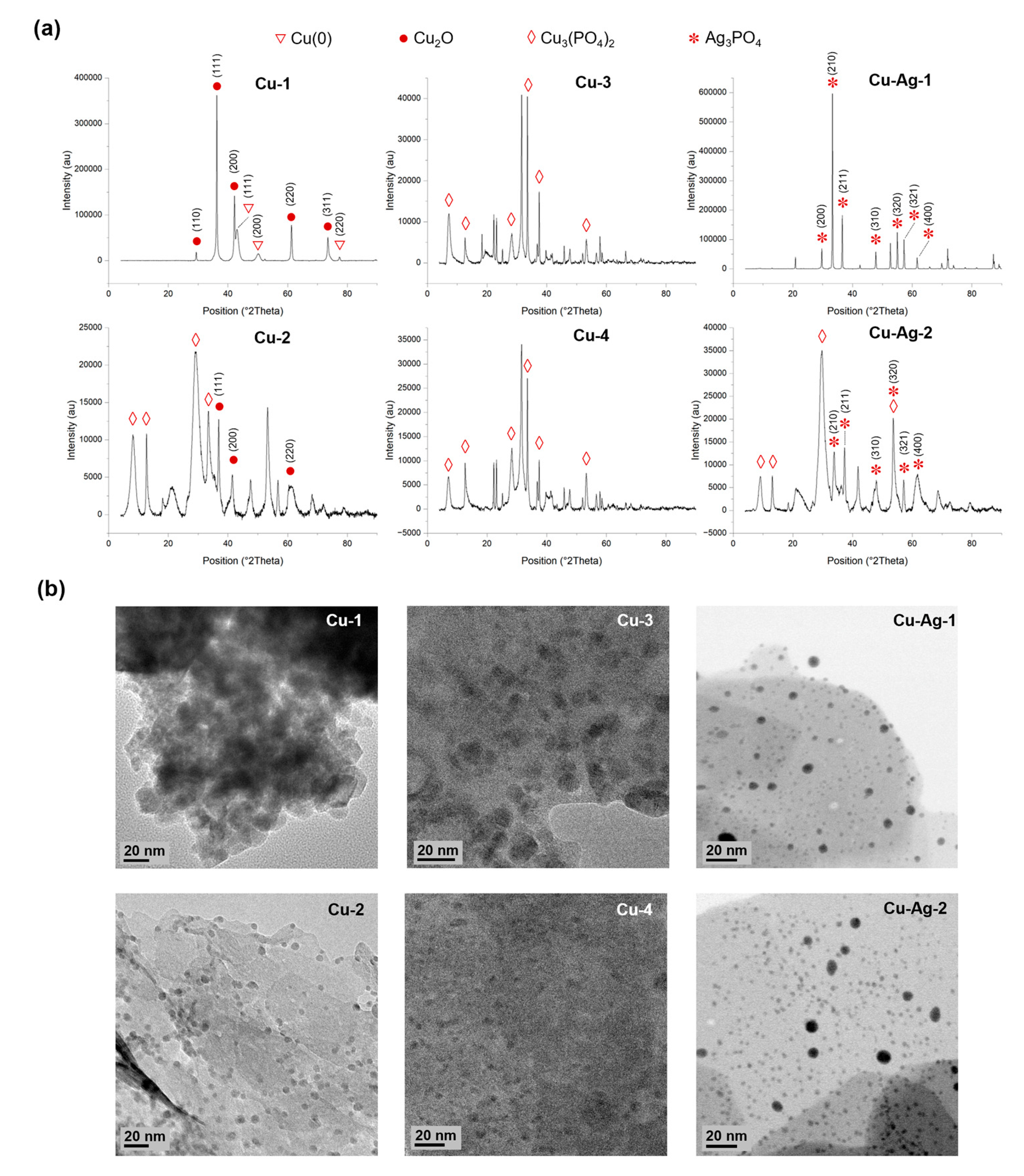 Preprints 112623 g002