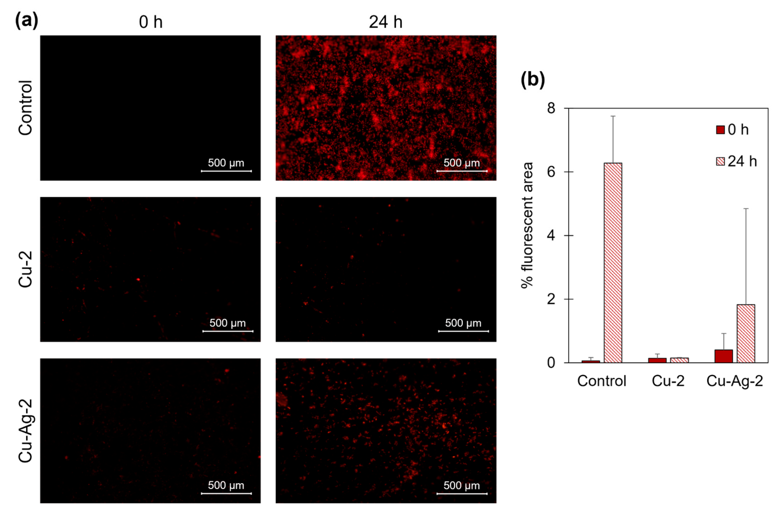 Preprints 112623 g006