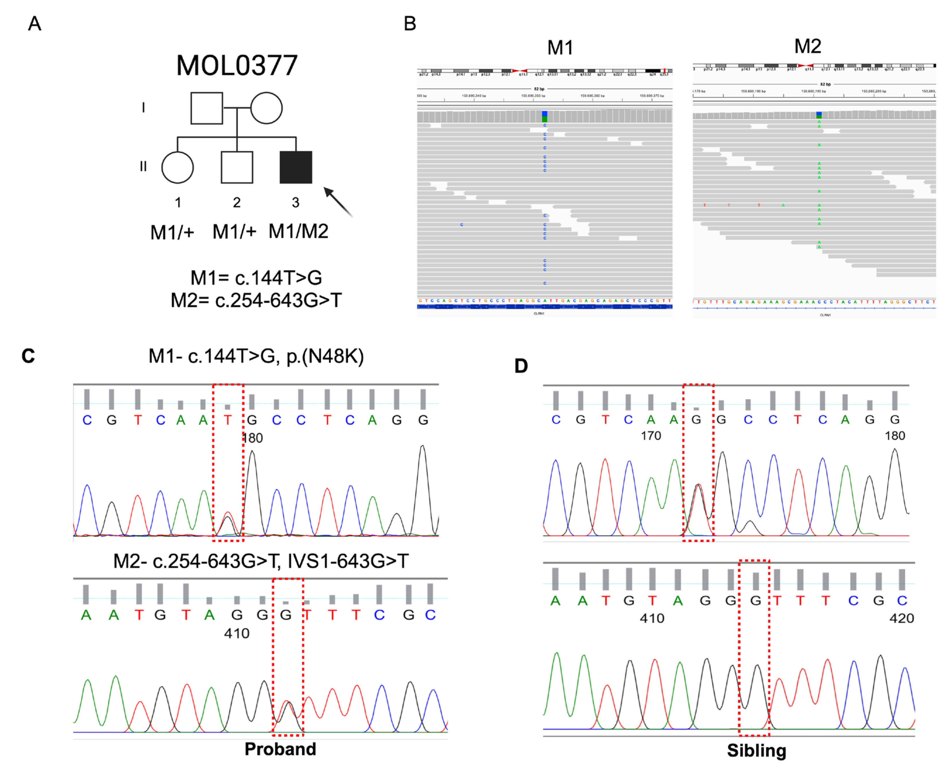 Preprints 117406 g001