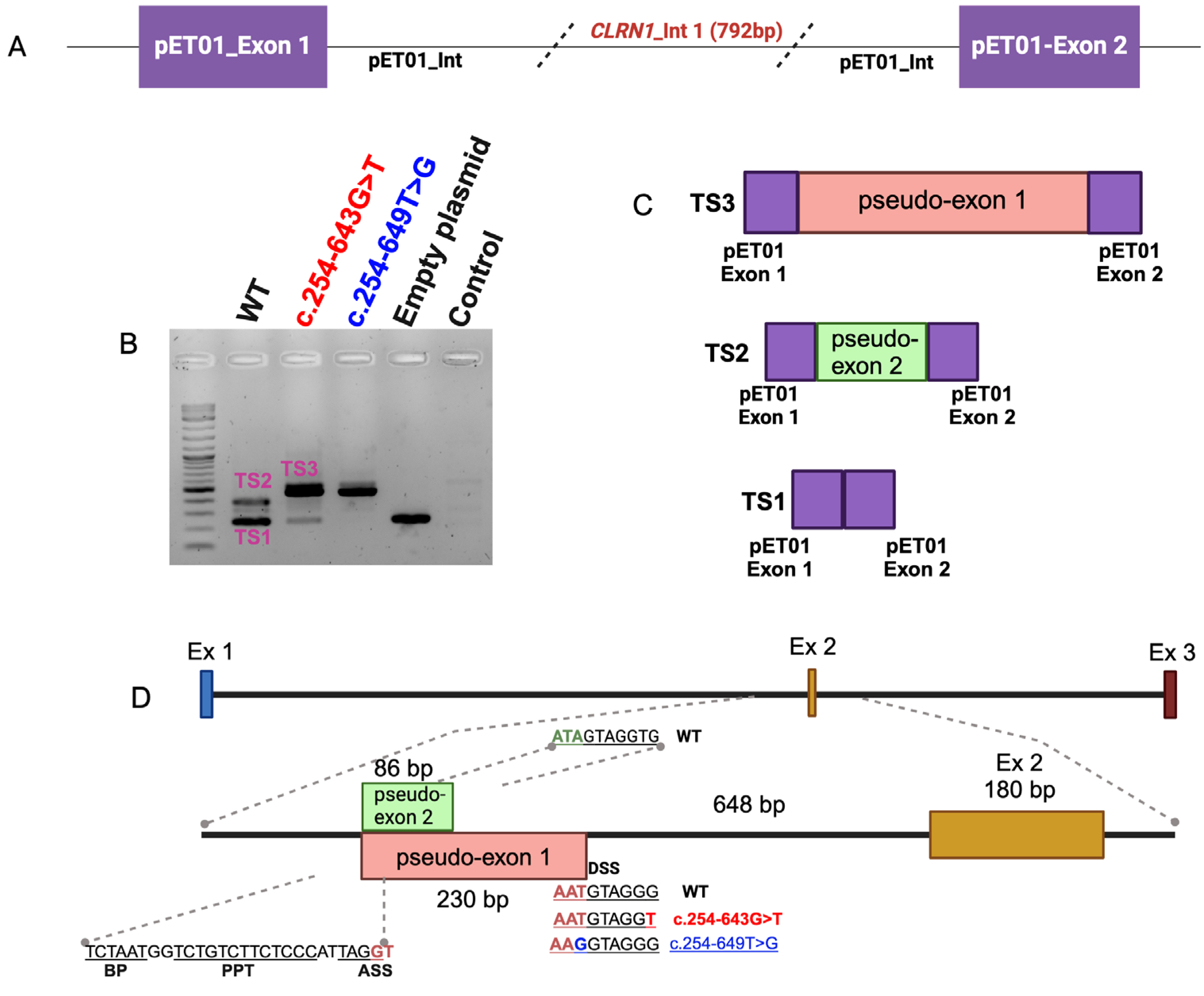 Preprints 117406 g003