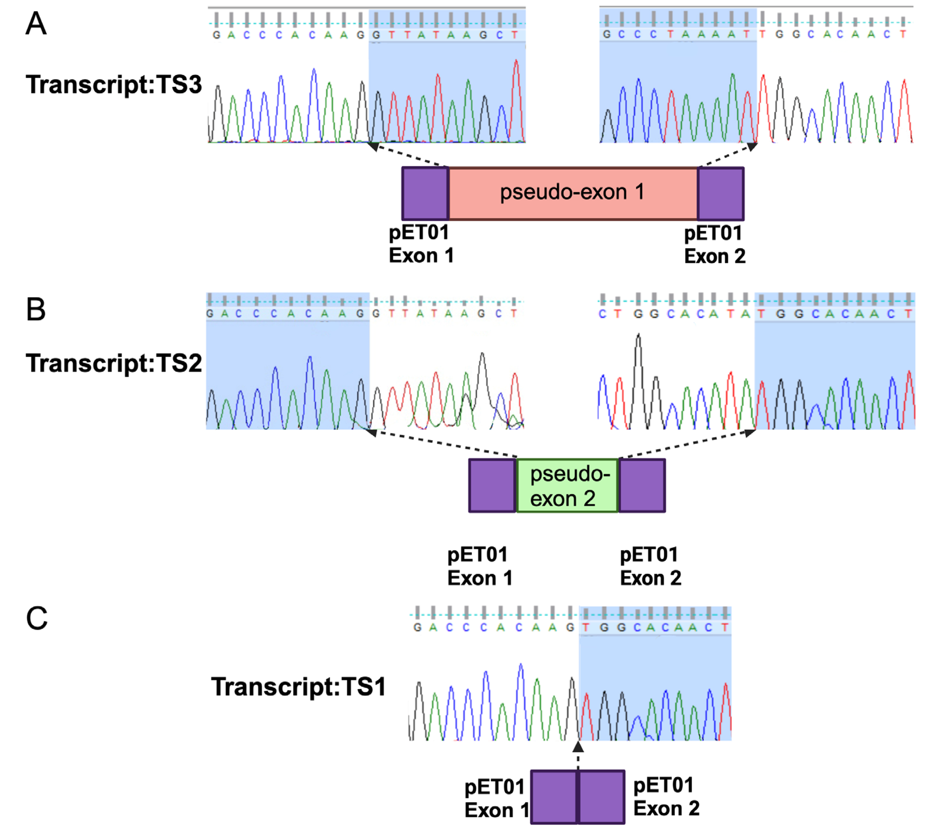 Preprints 117406 g004