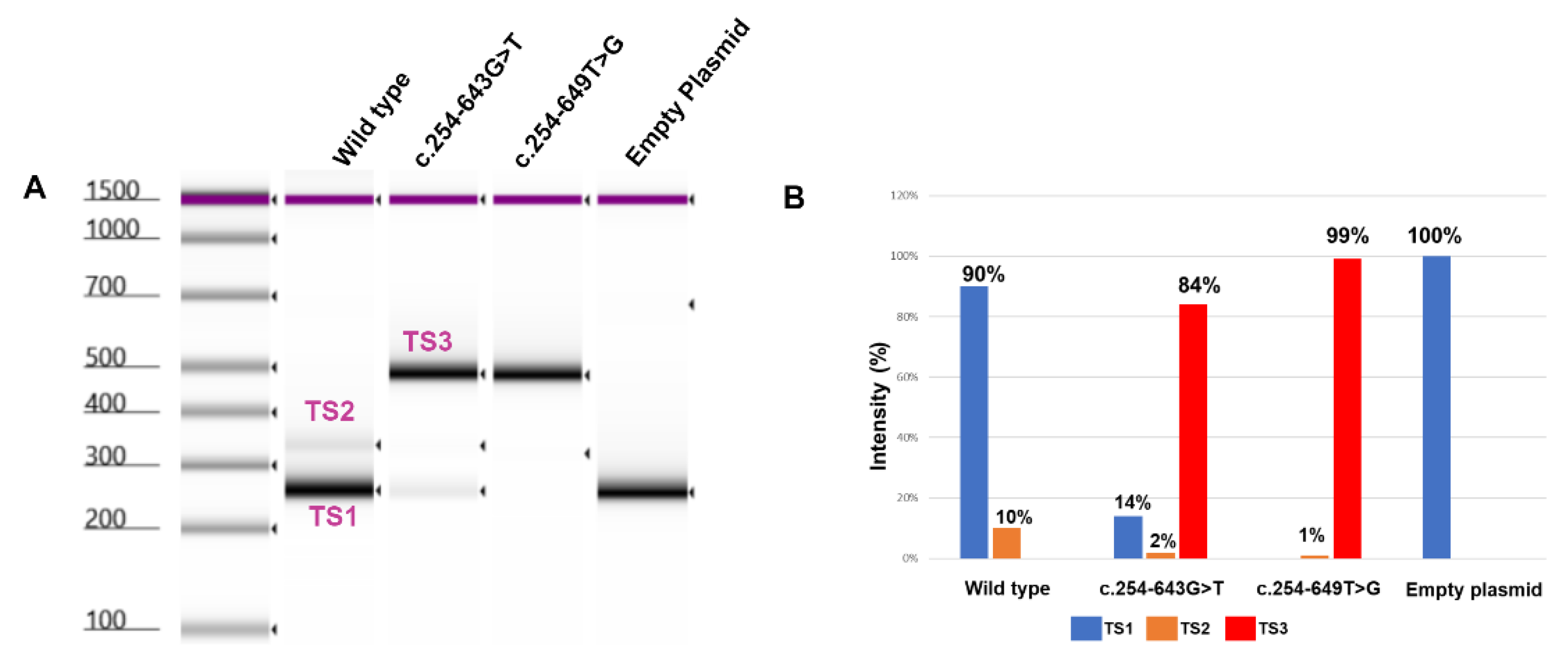 Preprints 117406 g005