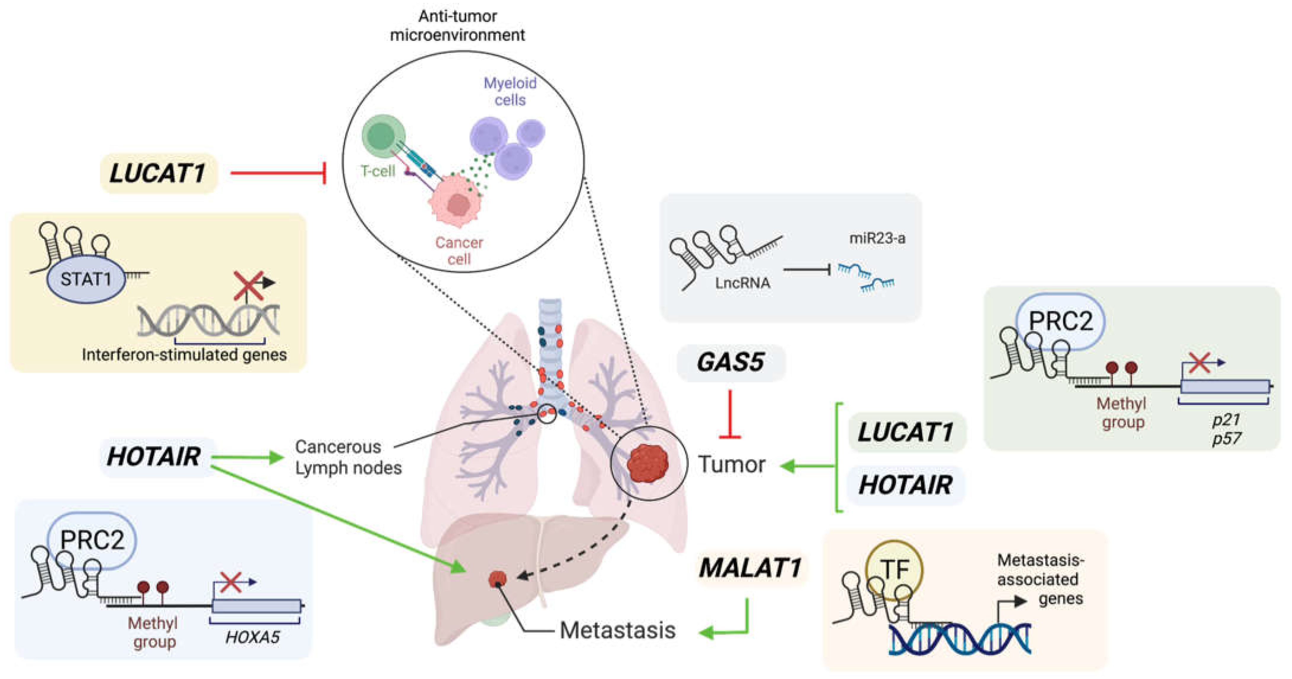 Preprints 73344 g001