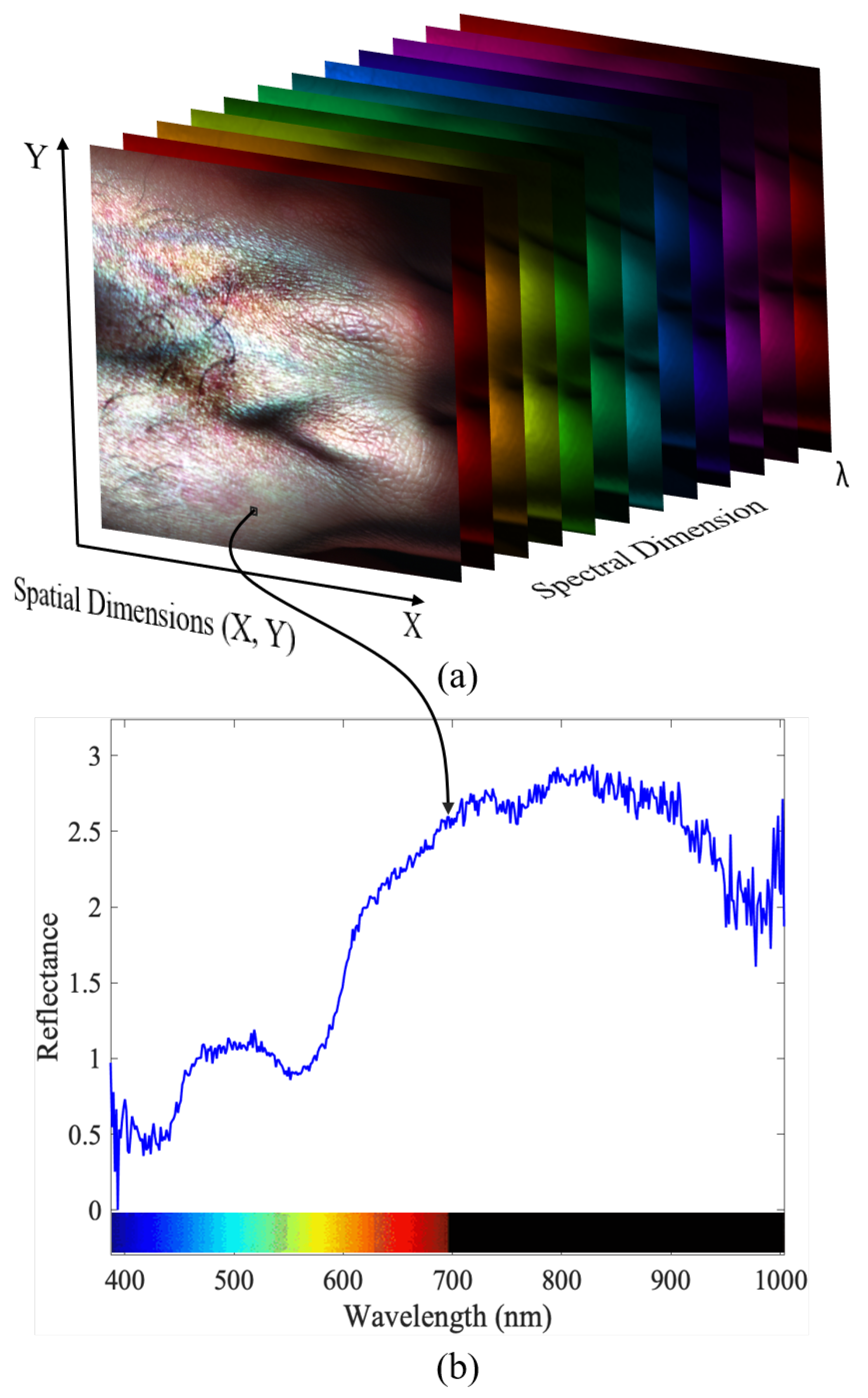 Preprints 92727 g001