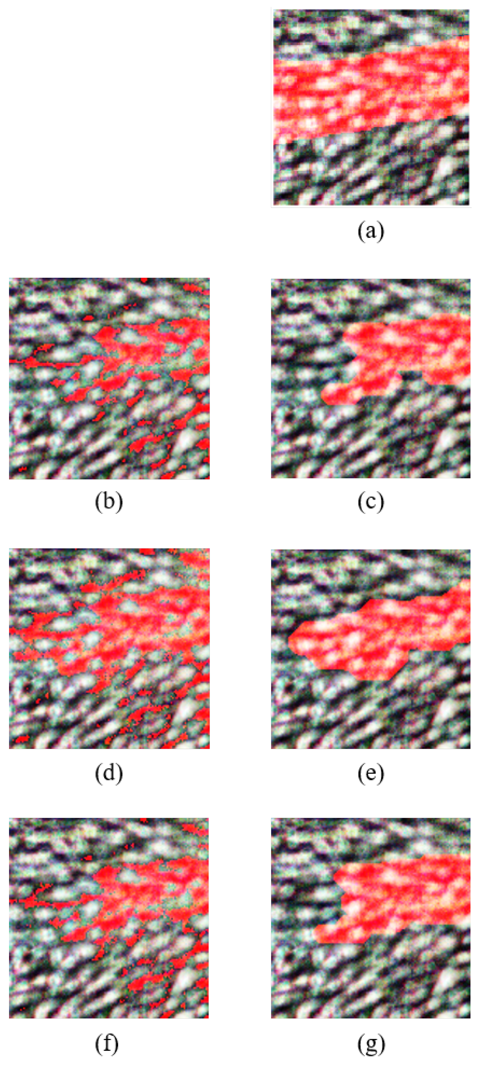 Preprints 92727 g009