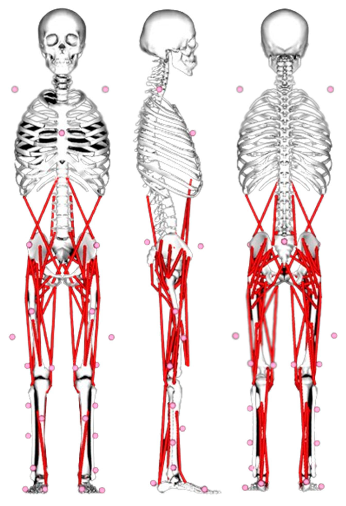 Preprints 88114 g001