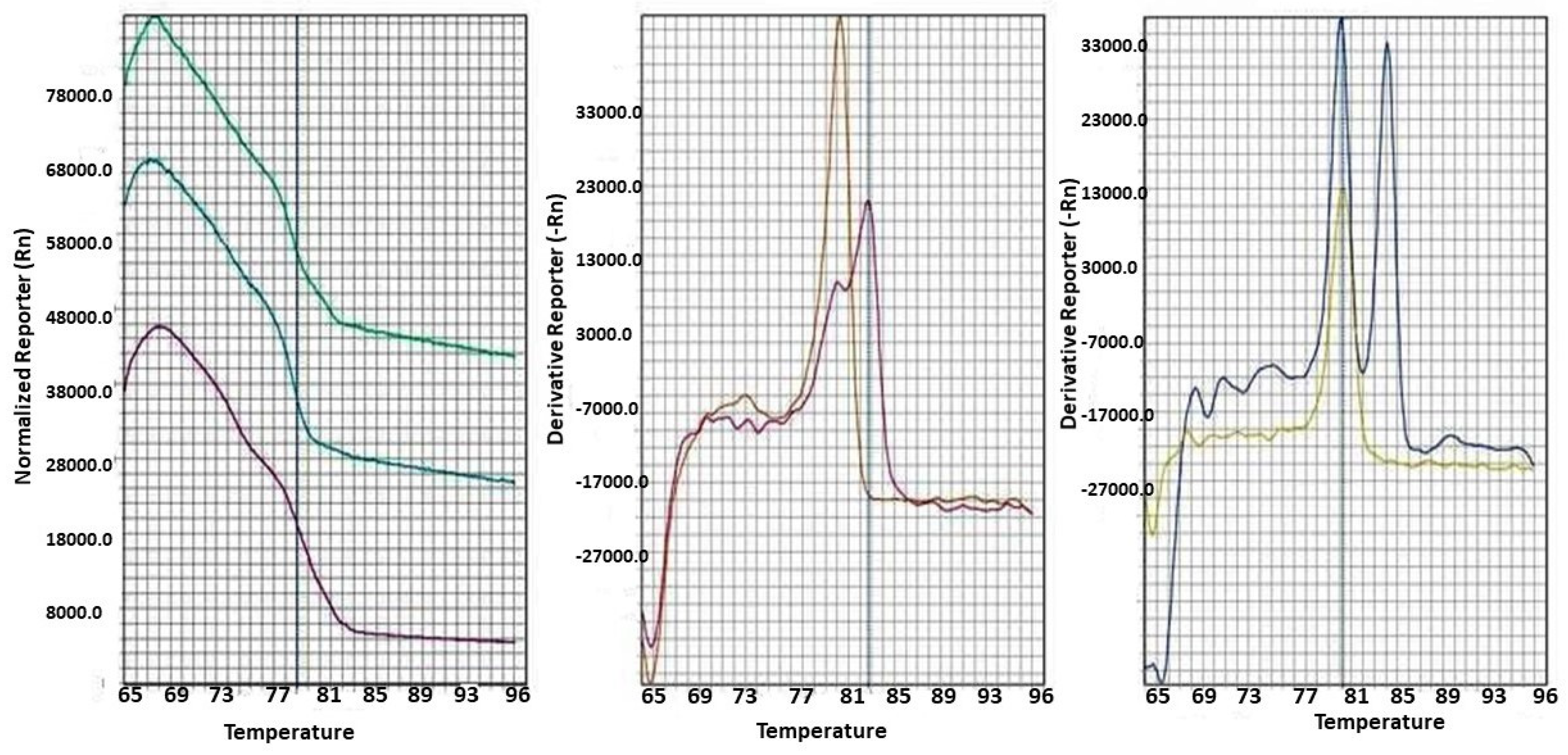 Preprints 71090 g001