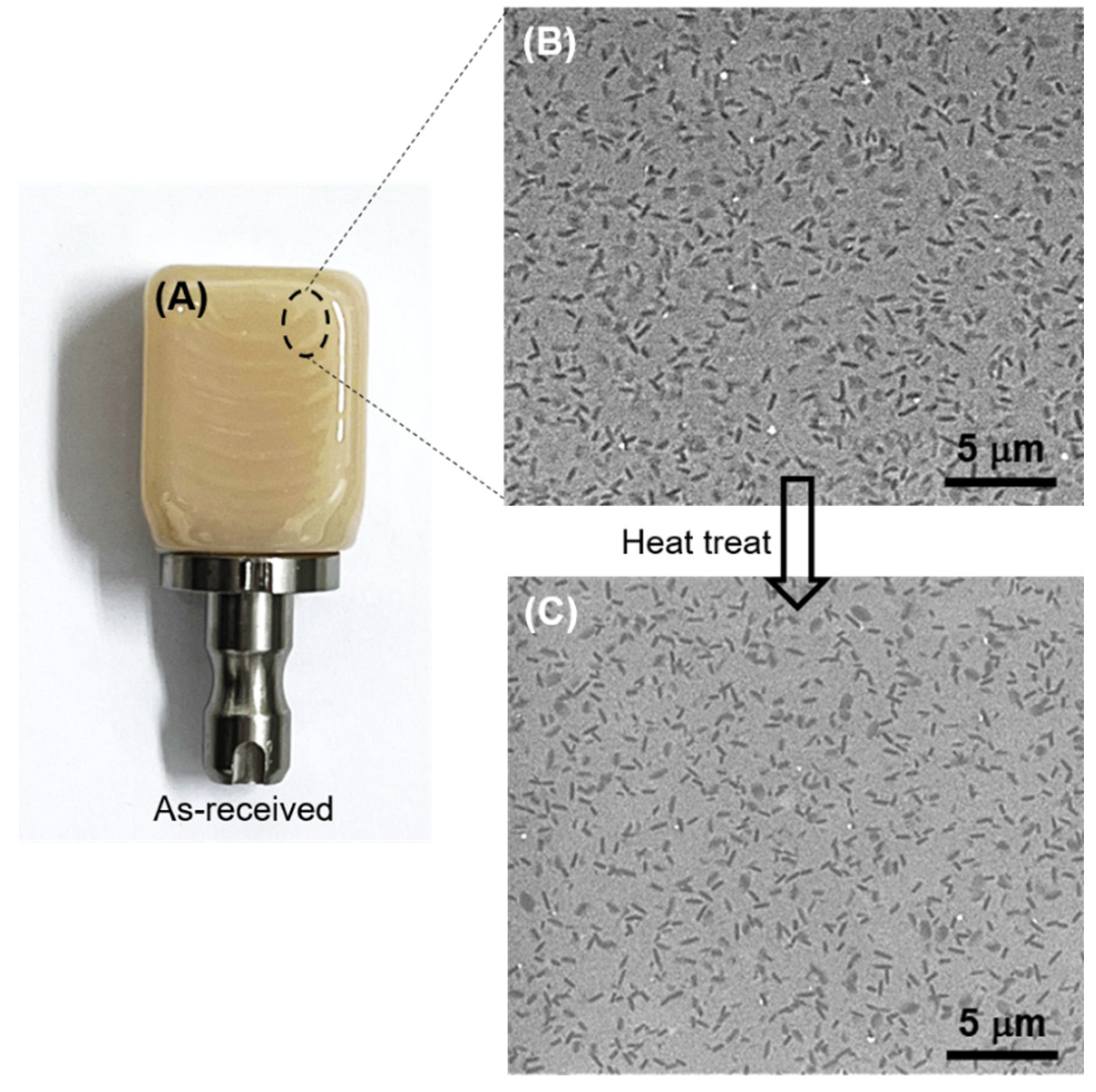 Preprints 102044 g001