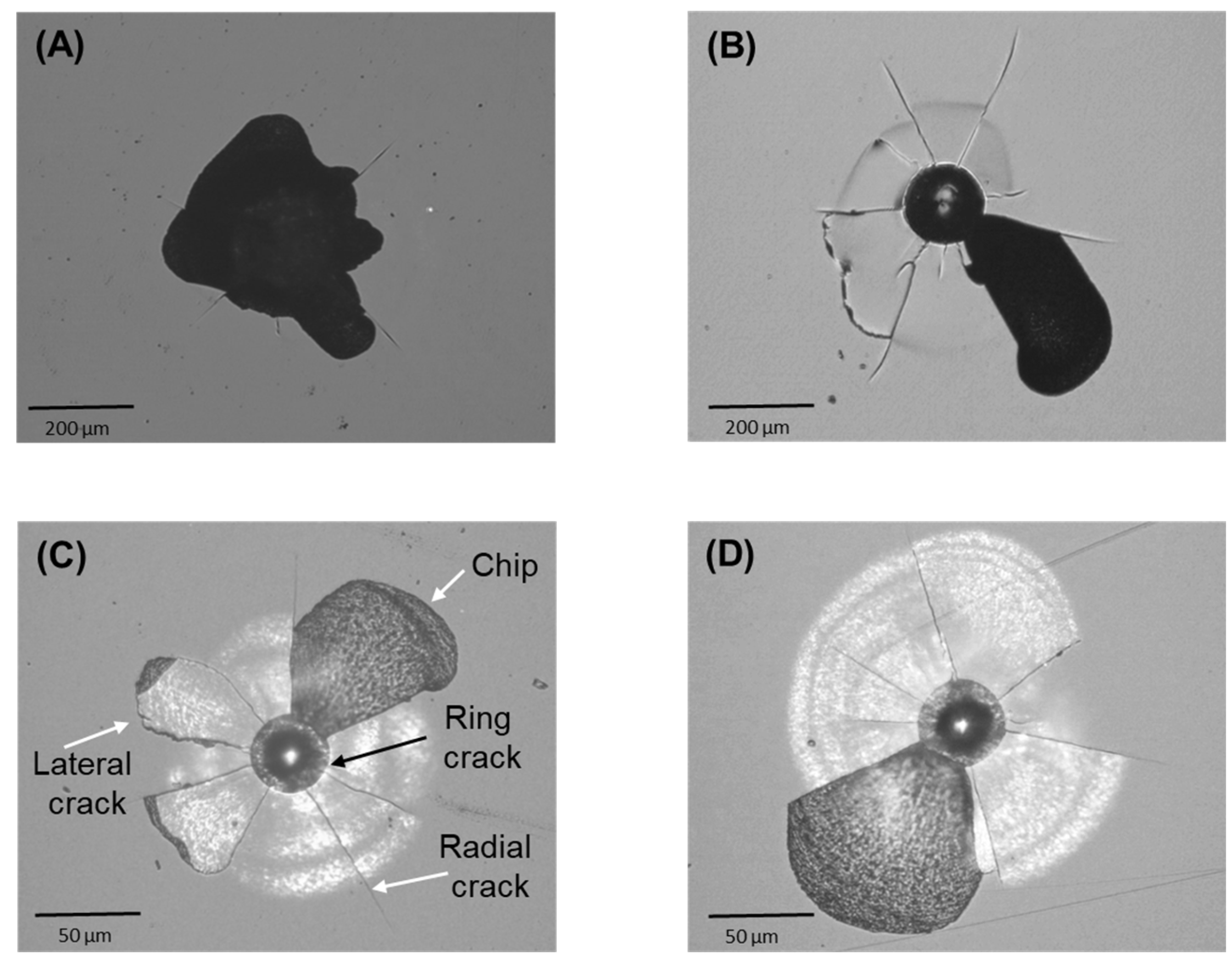 Preprints 102044 g003