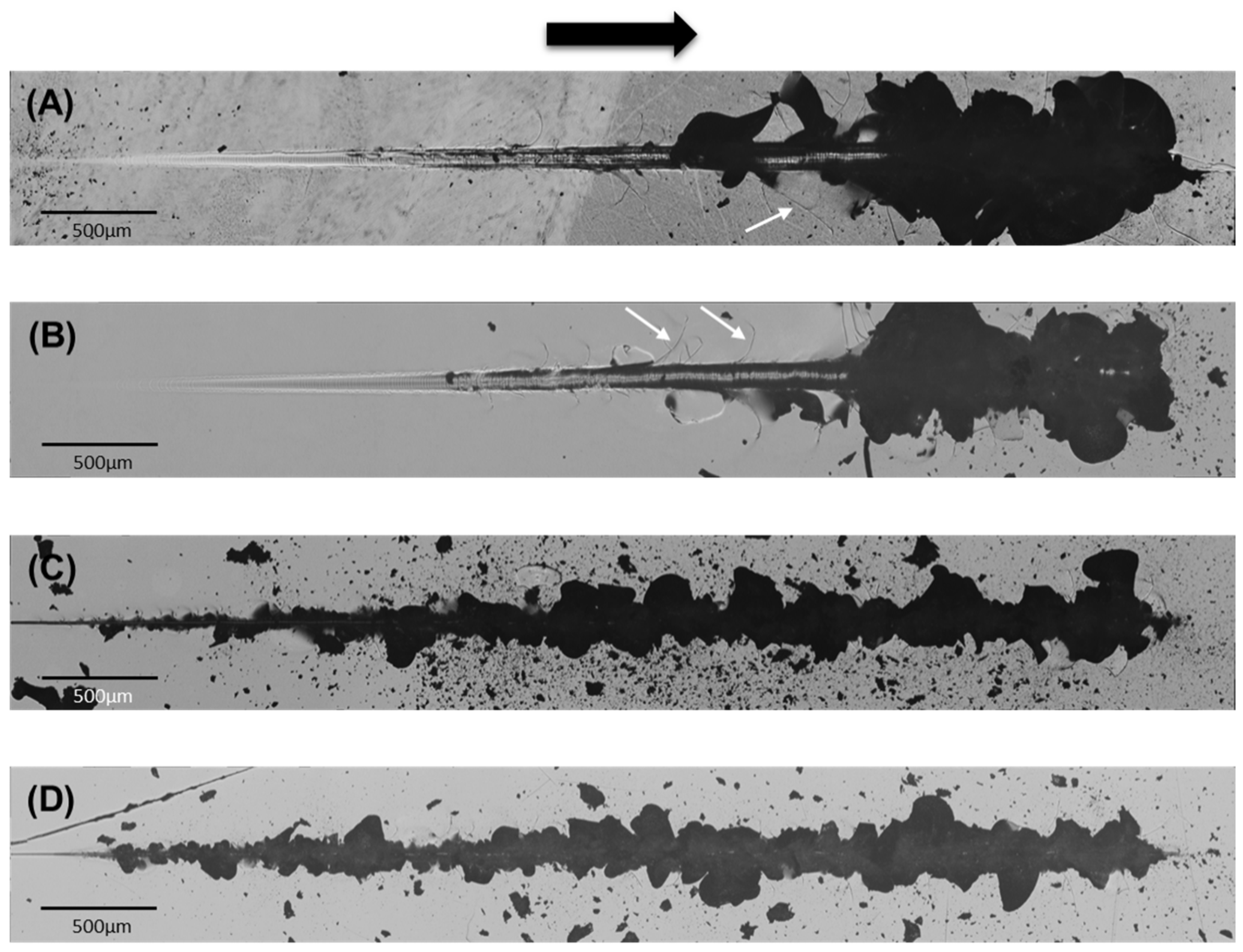 Preprints 102044 g004