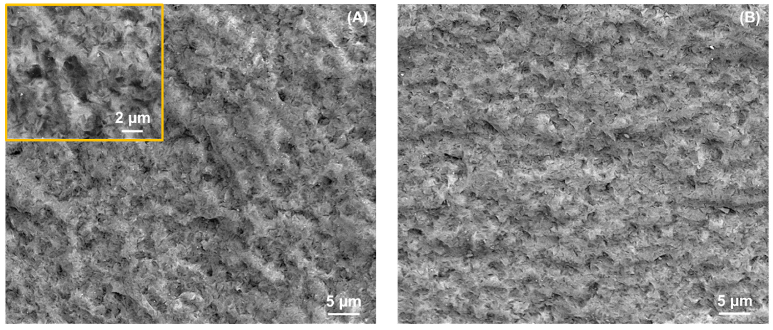 Preprints 102044 g008