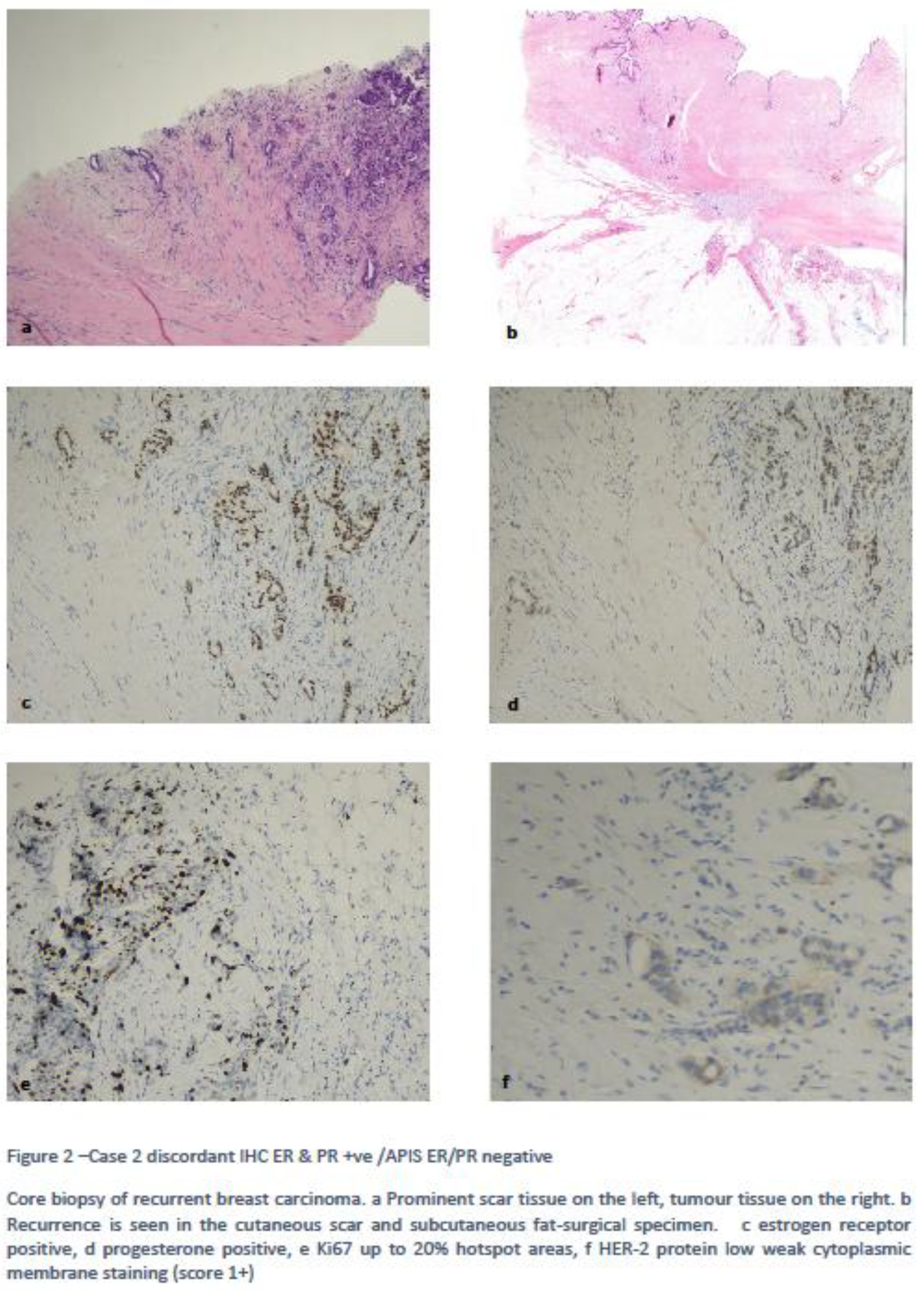 Preprints 96066 g002