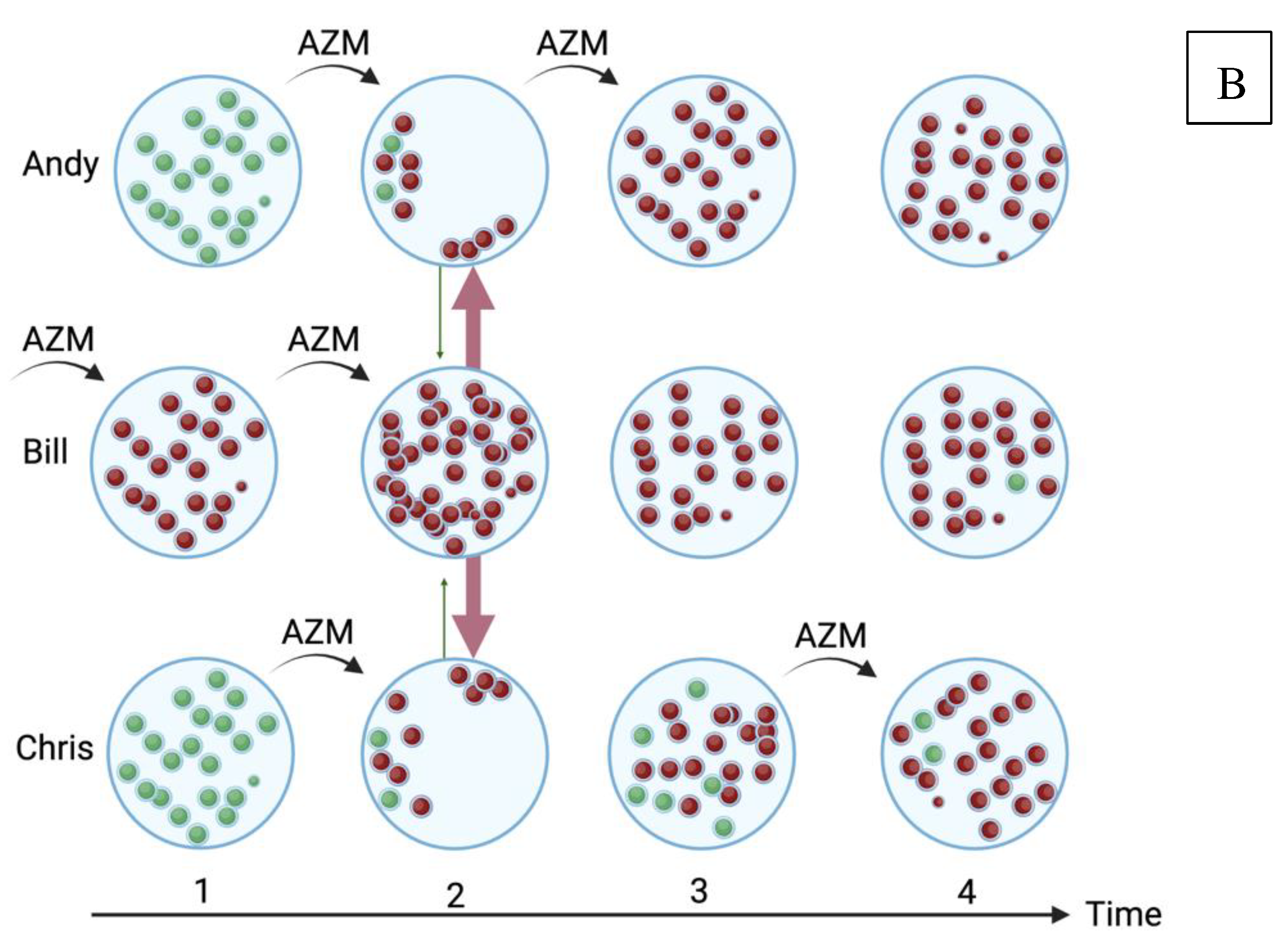 Preprints 96523 g002