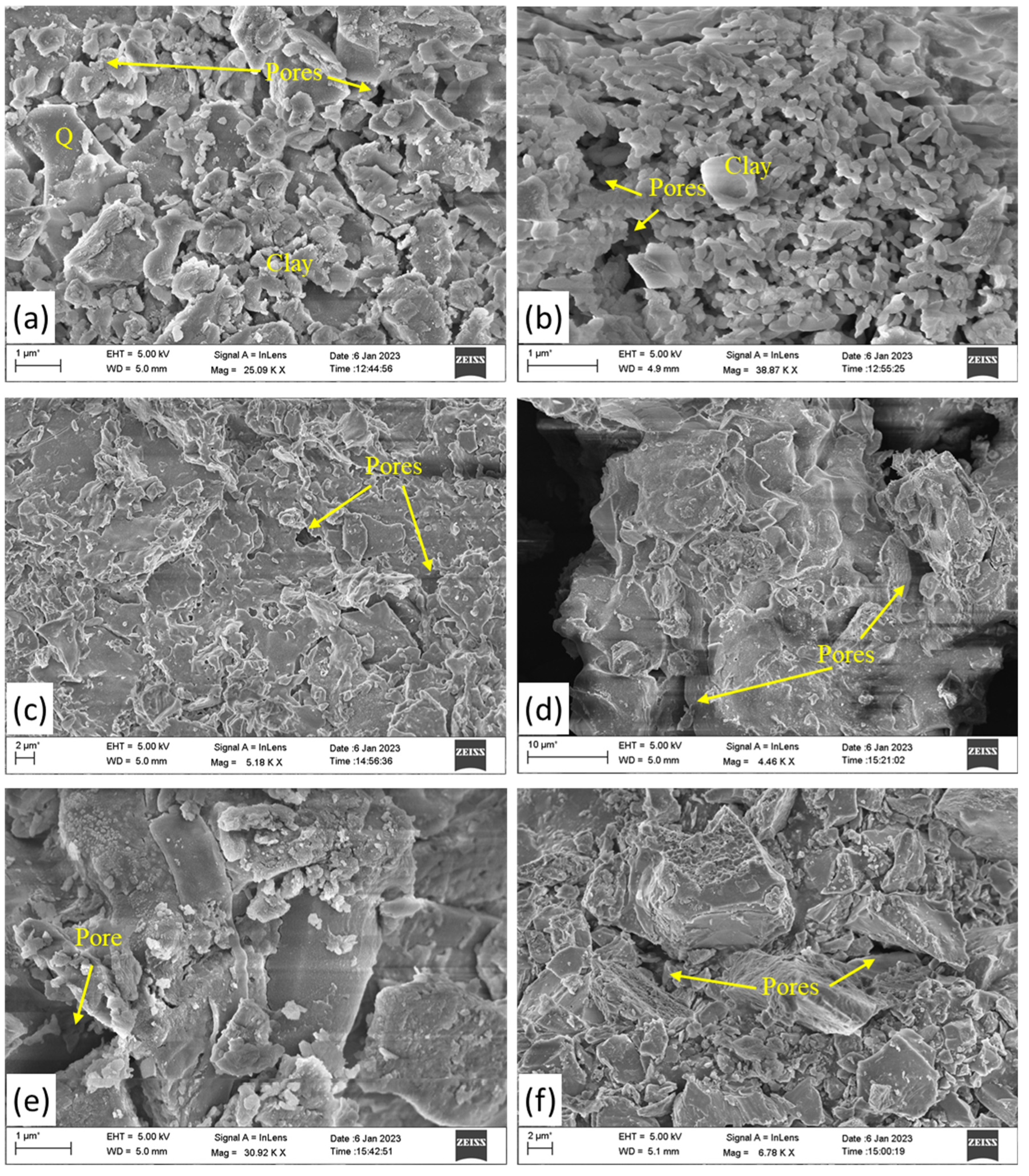 Preprints 109231 g006