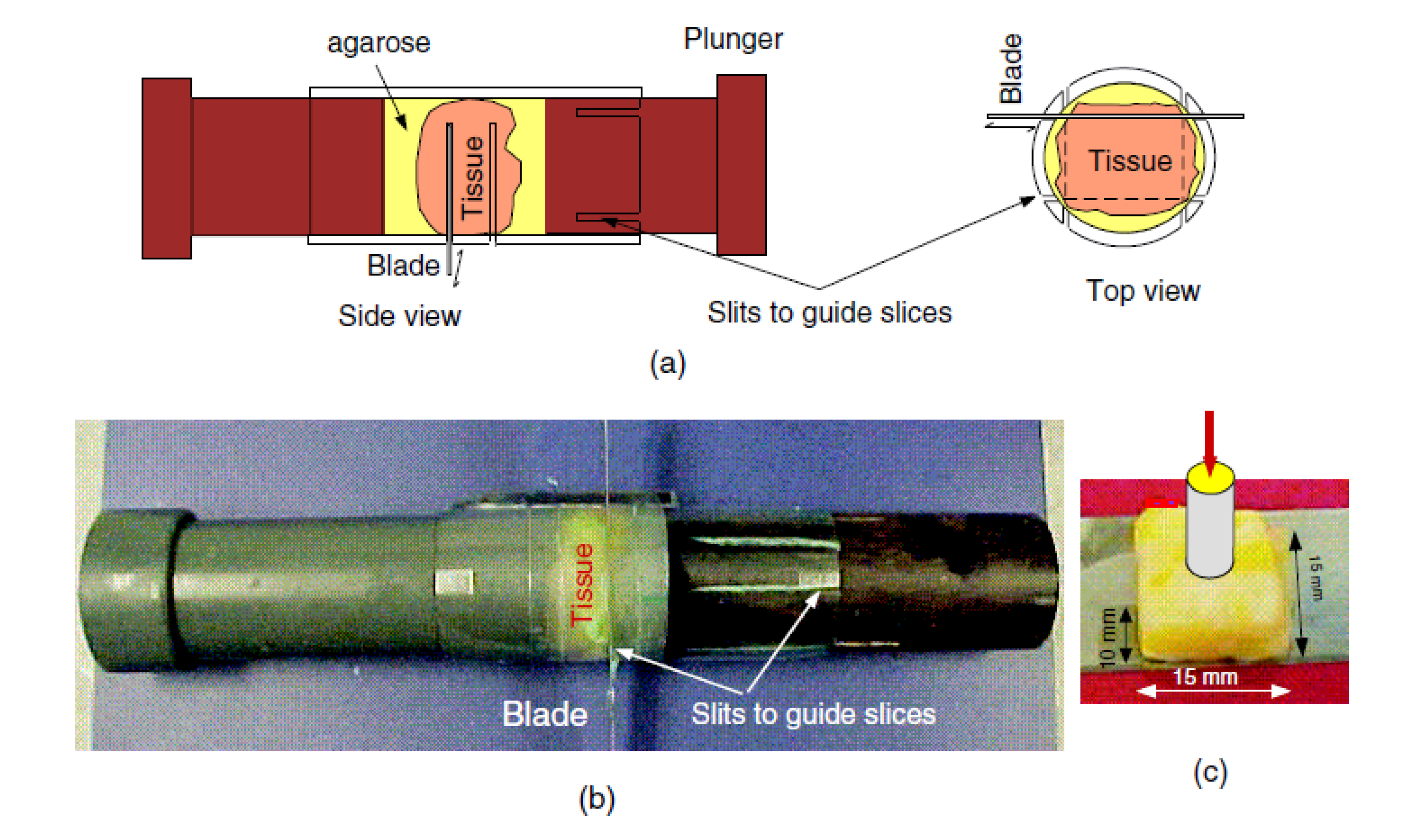 Preprints 113670 g009