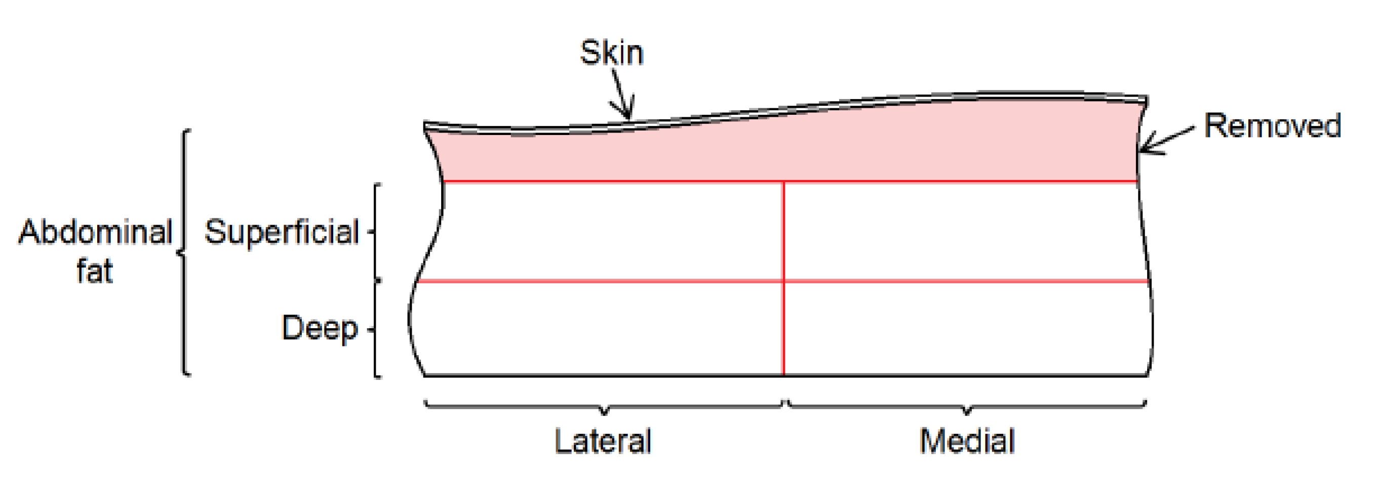 Preprints 113670 g014