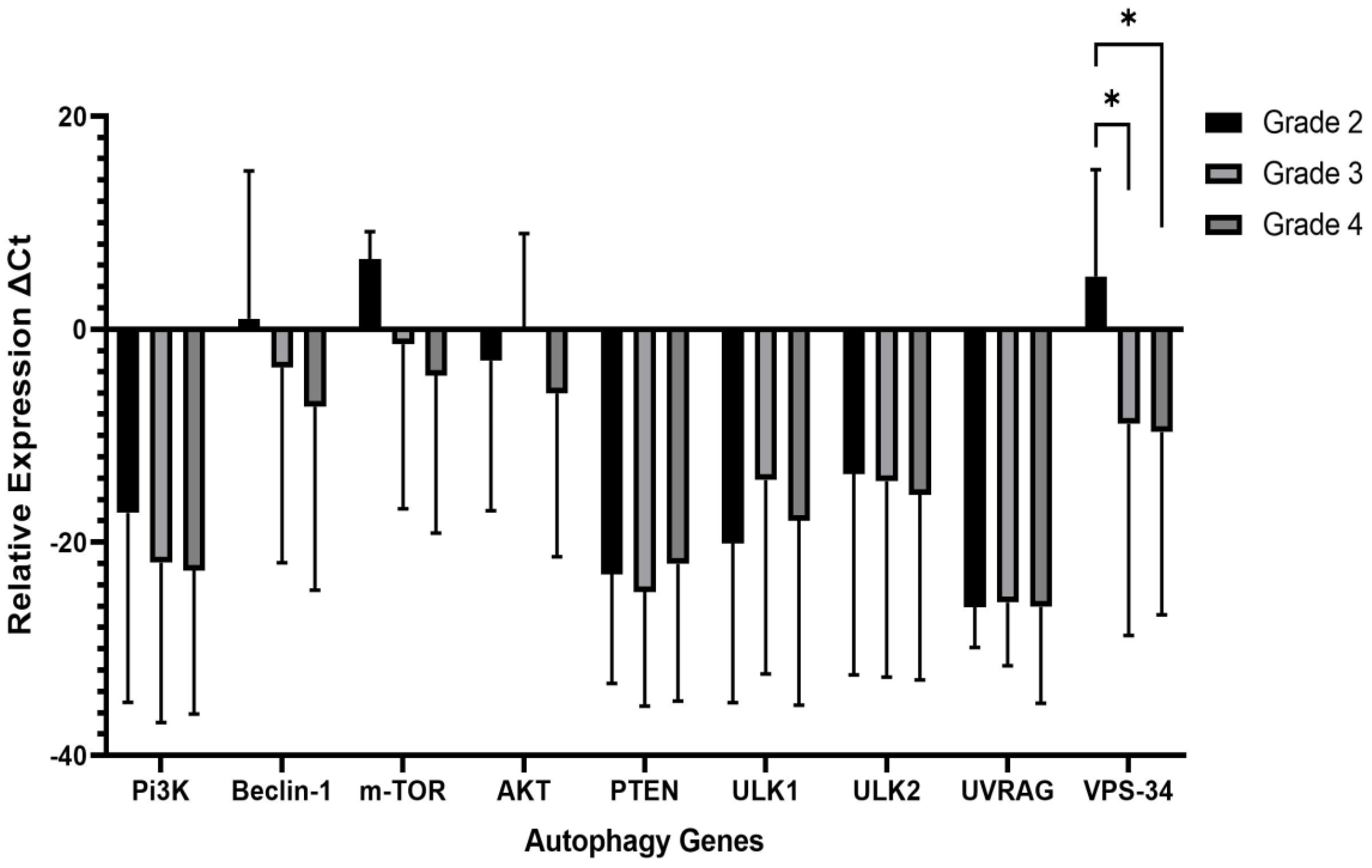 Preprints 94706 g002