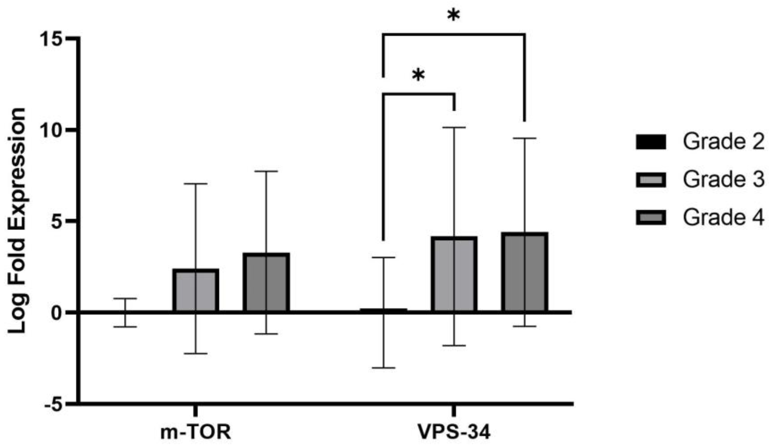 Preprints 94706 g003