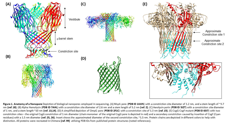 Preprints 67531 i001