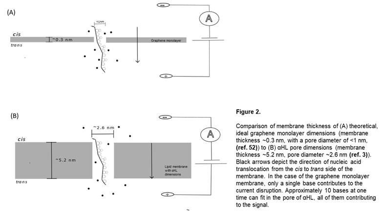 Preprints 67531 i002