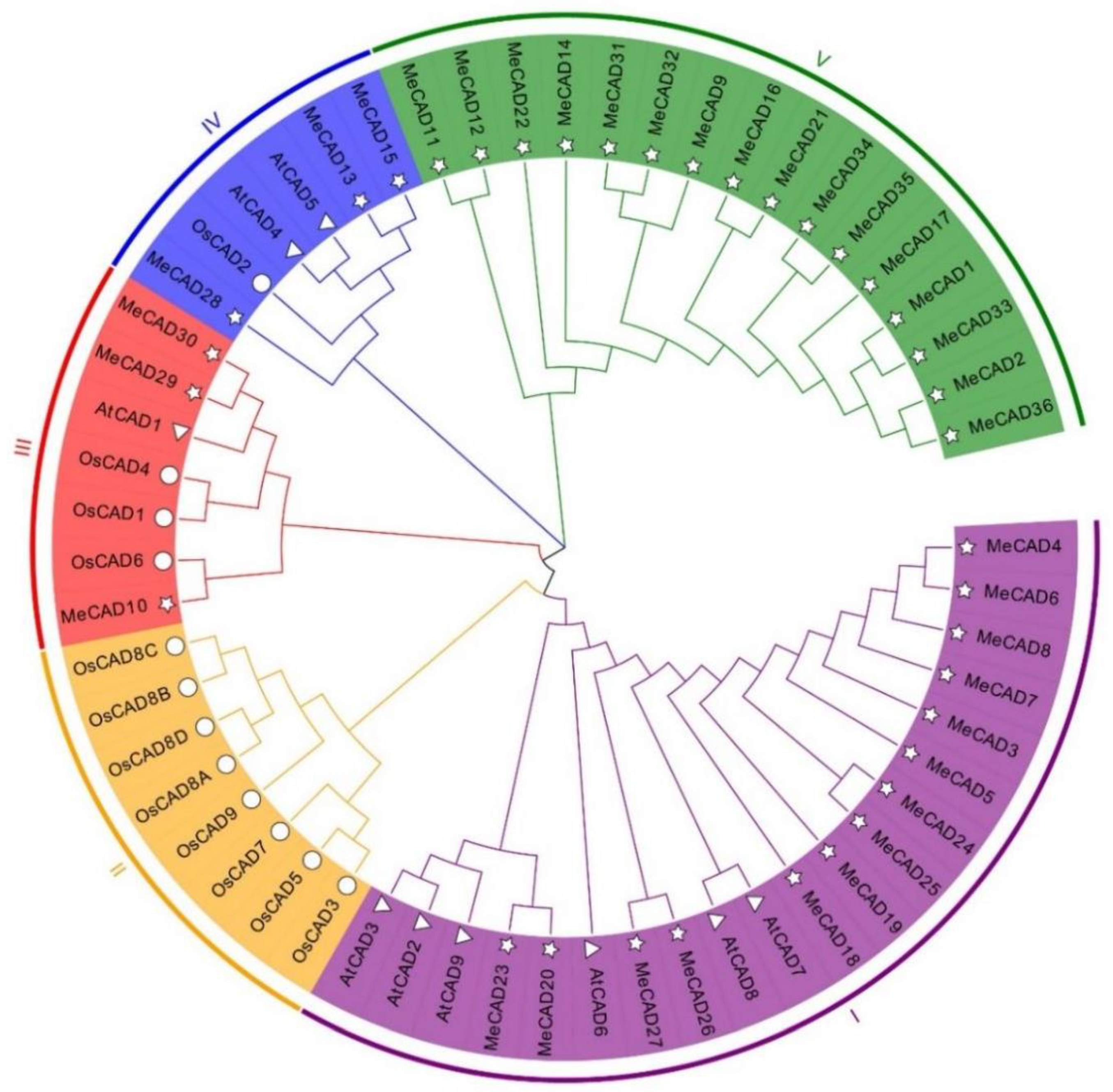 Preprints 119726 g001