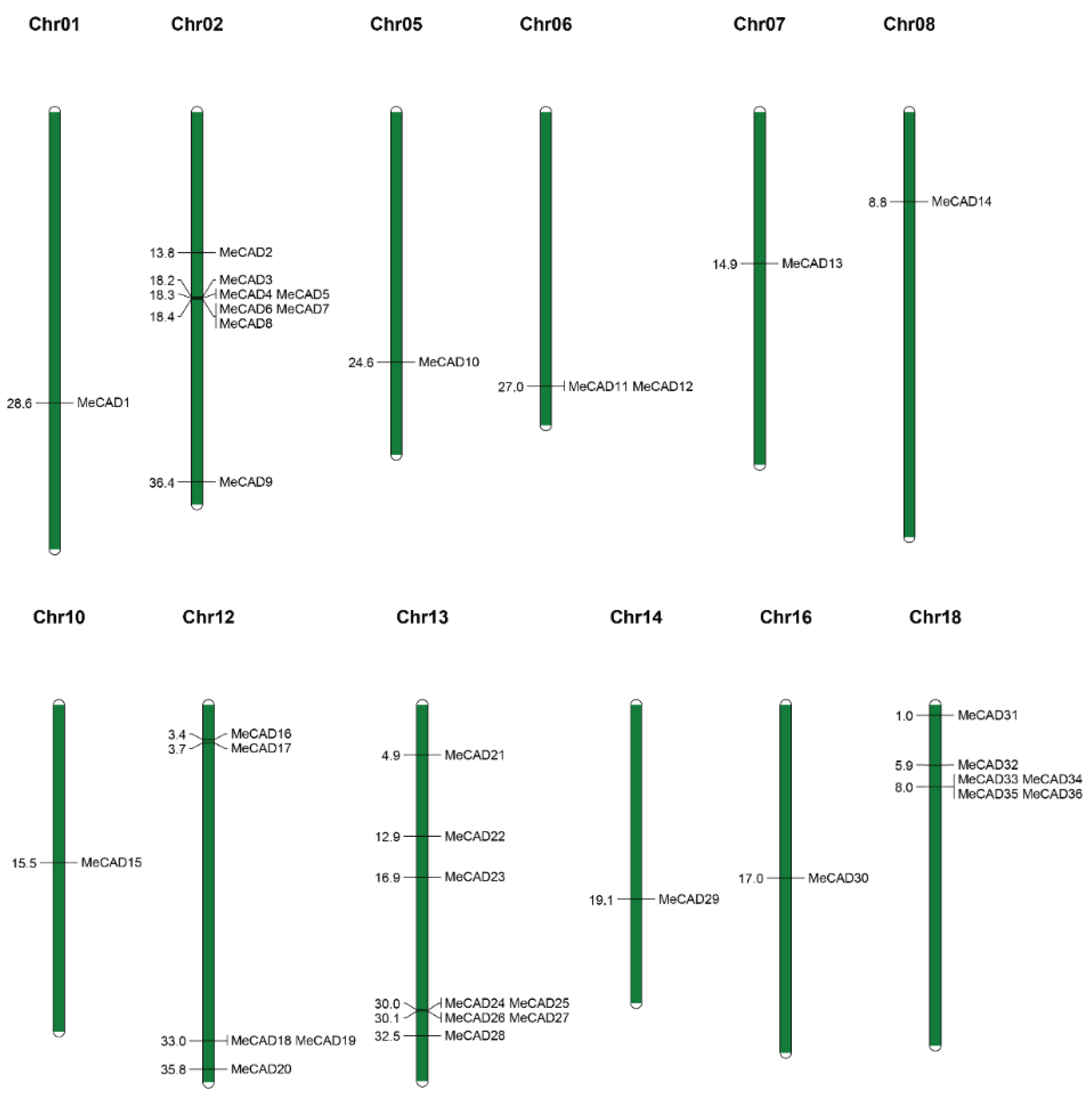 Preprints 119726 g002