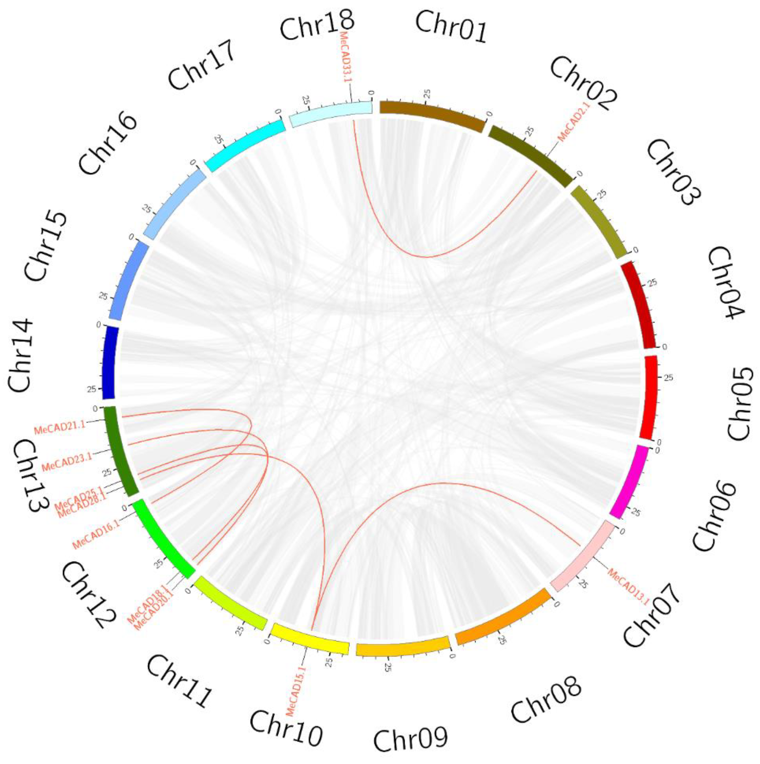 Preprints 119726 g003