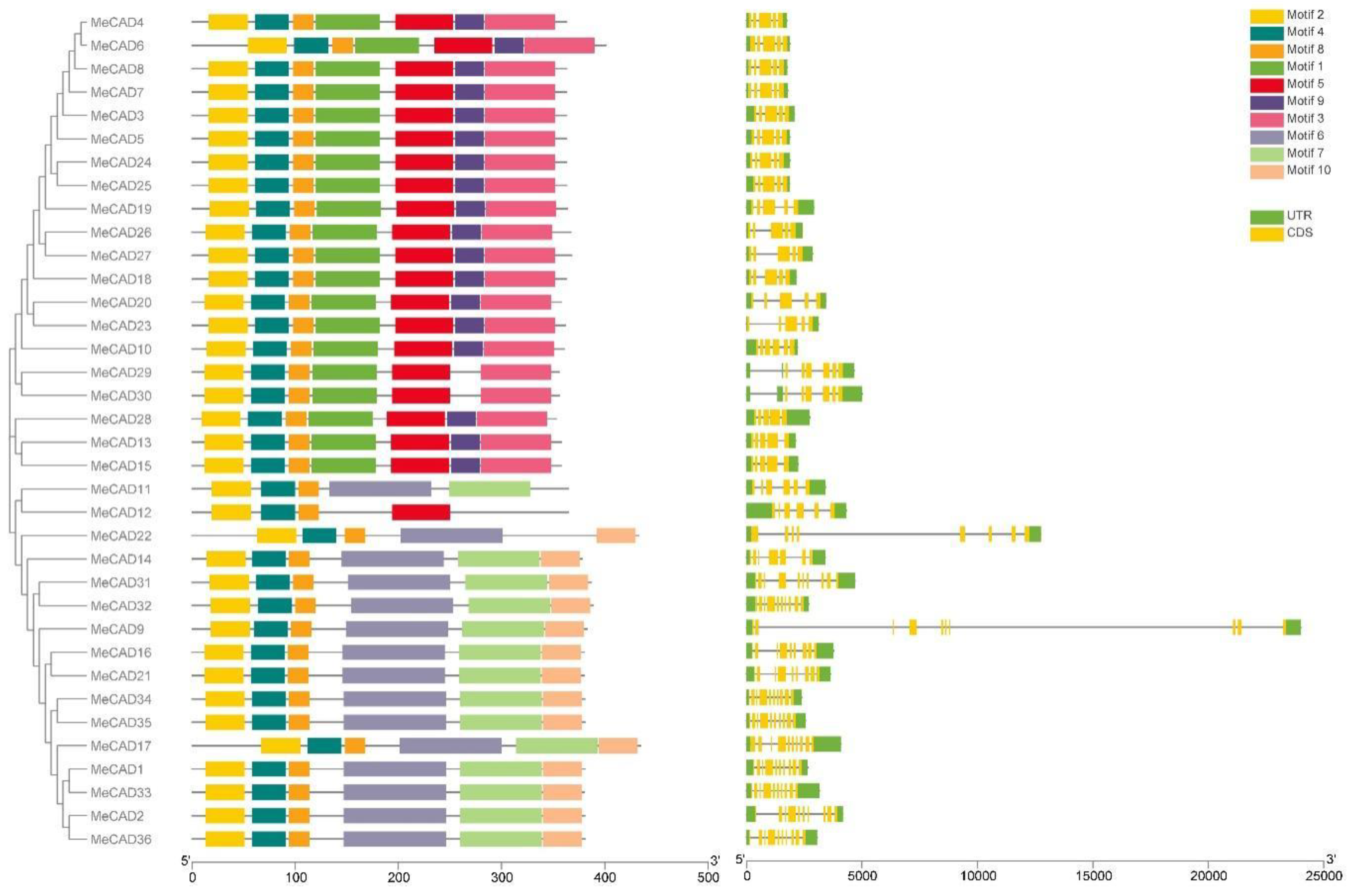 Preprints 119726 g004