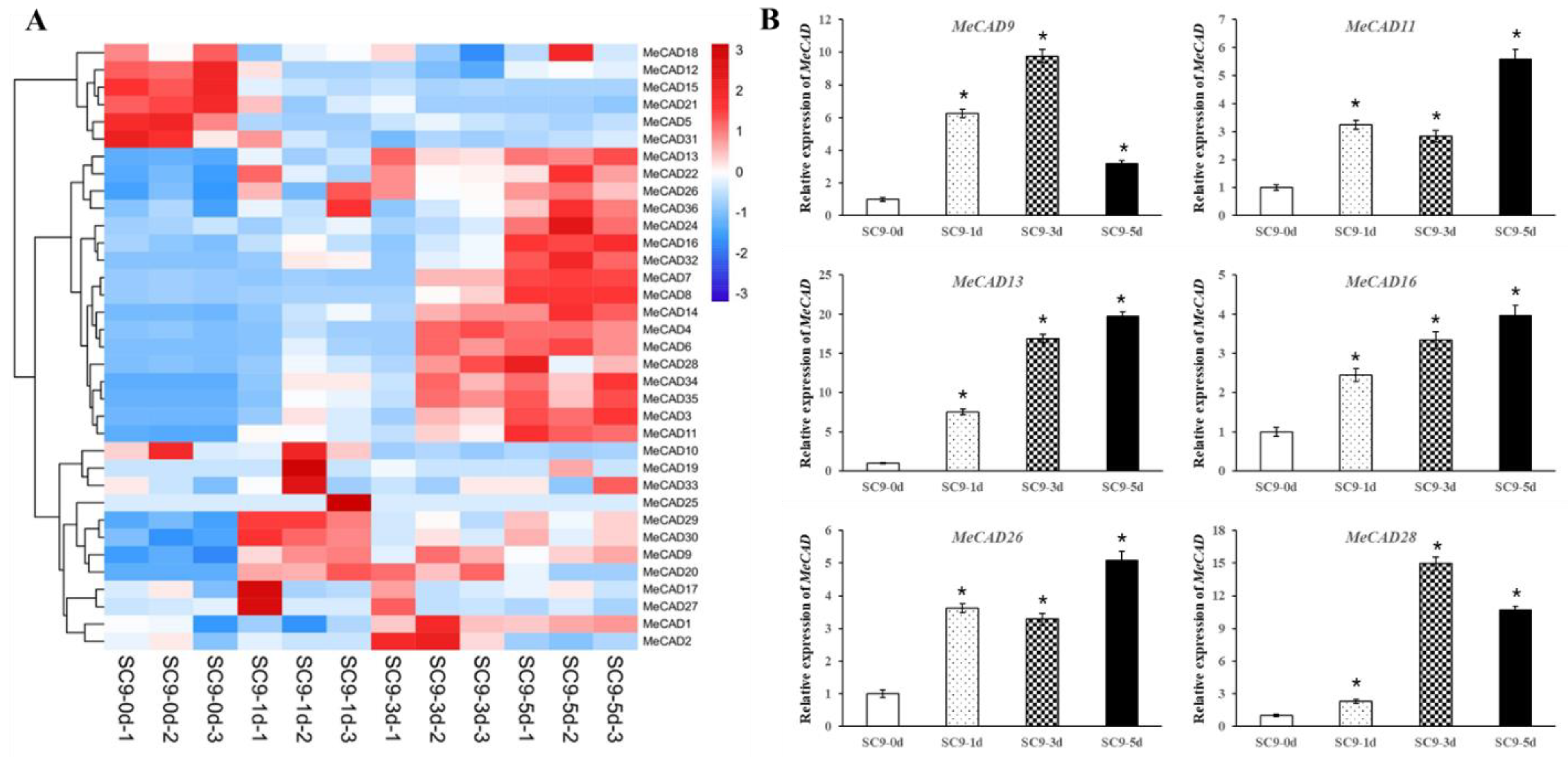 Preprints 119726 g005