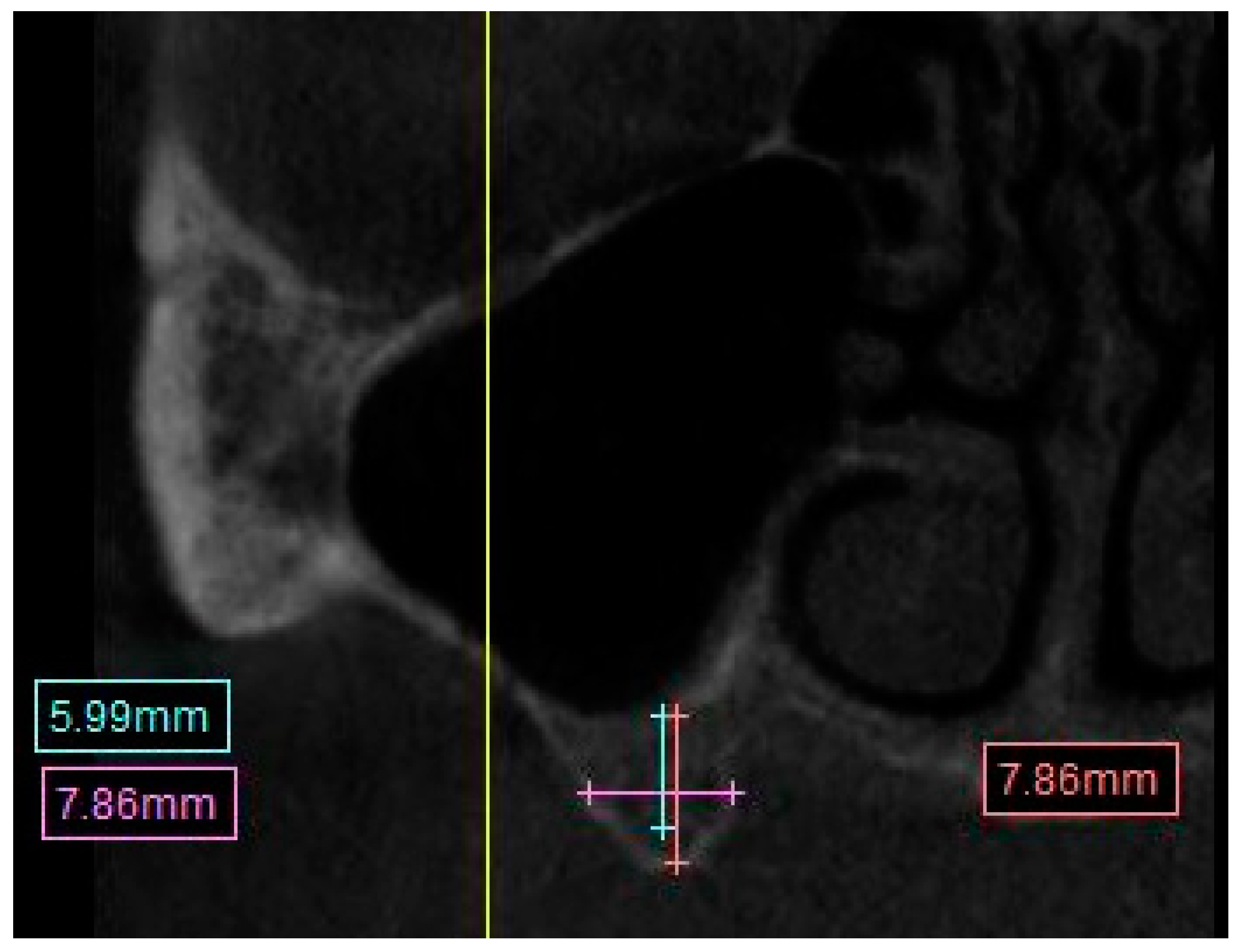 Preprints 82119 g002