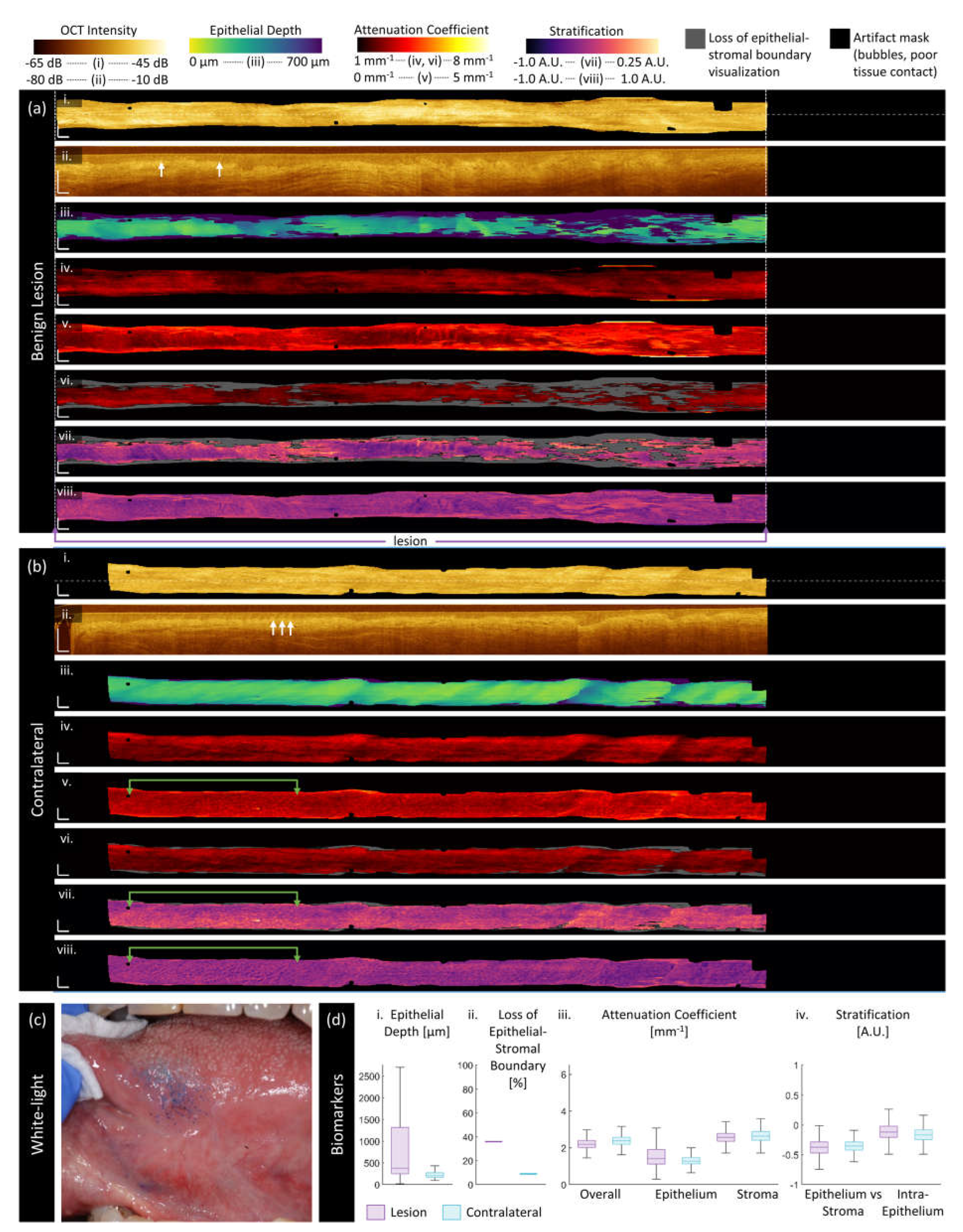 Preprints 111410 g003