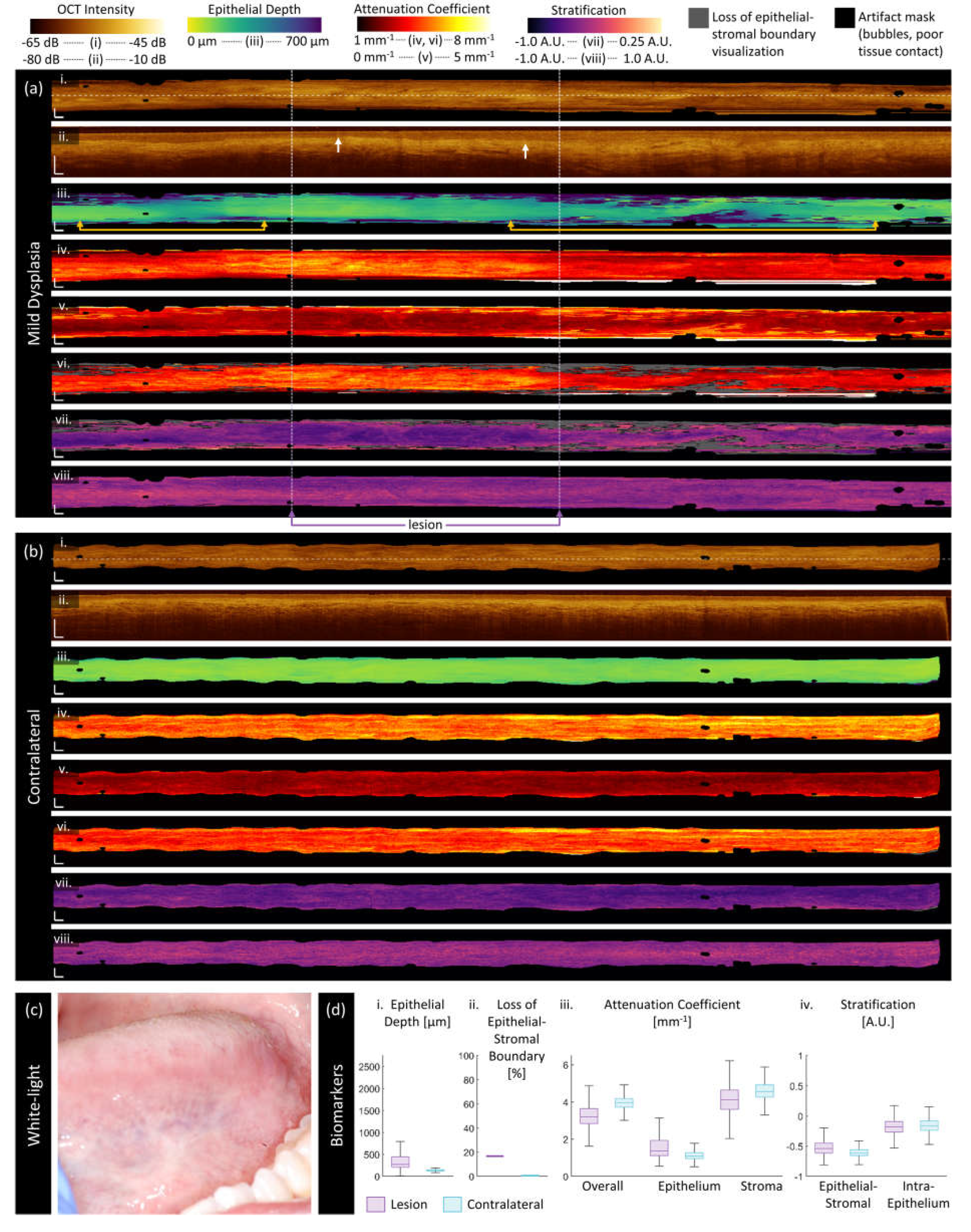 Preprints 111410 g004