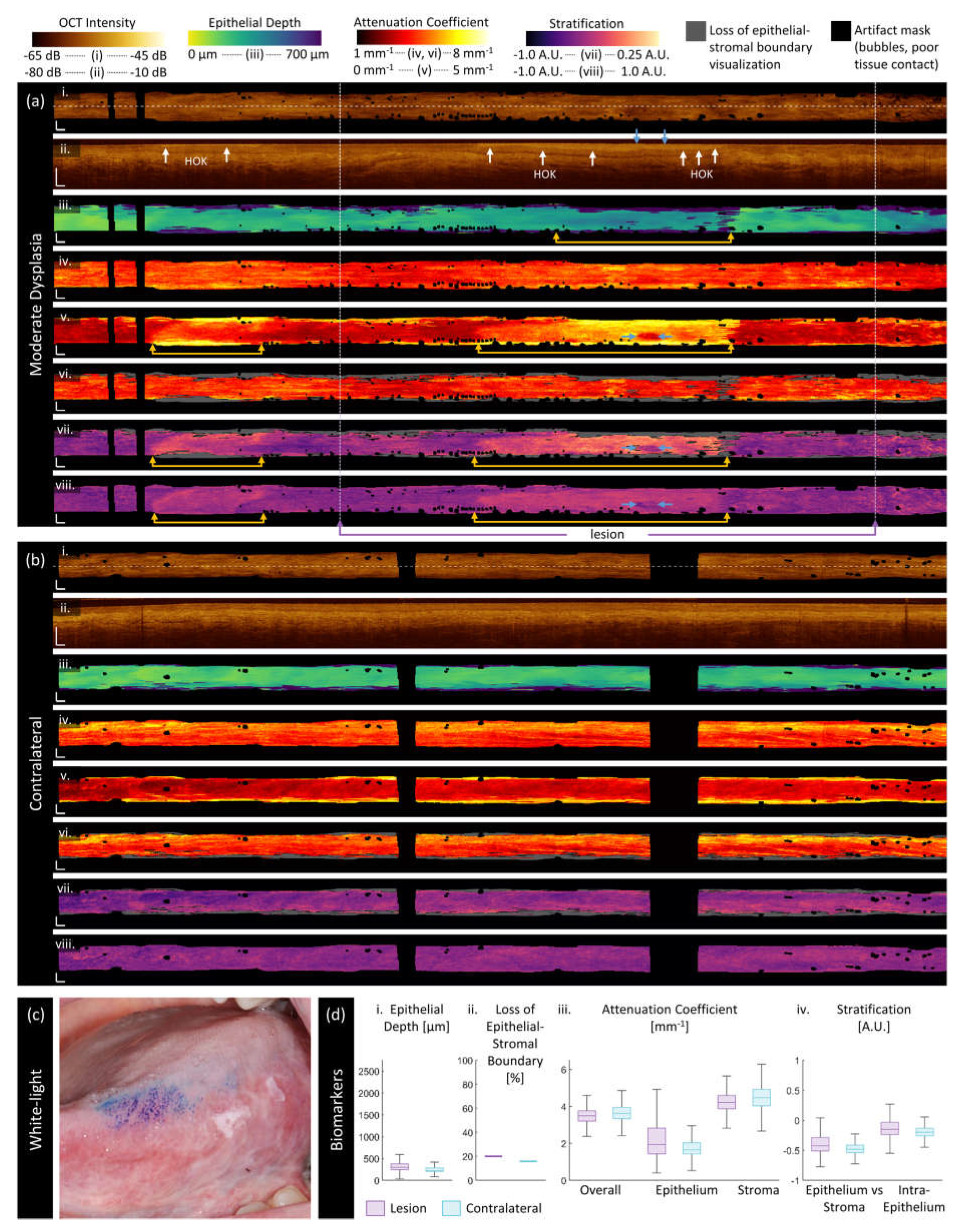 Preprints 111410 g005