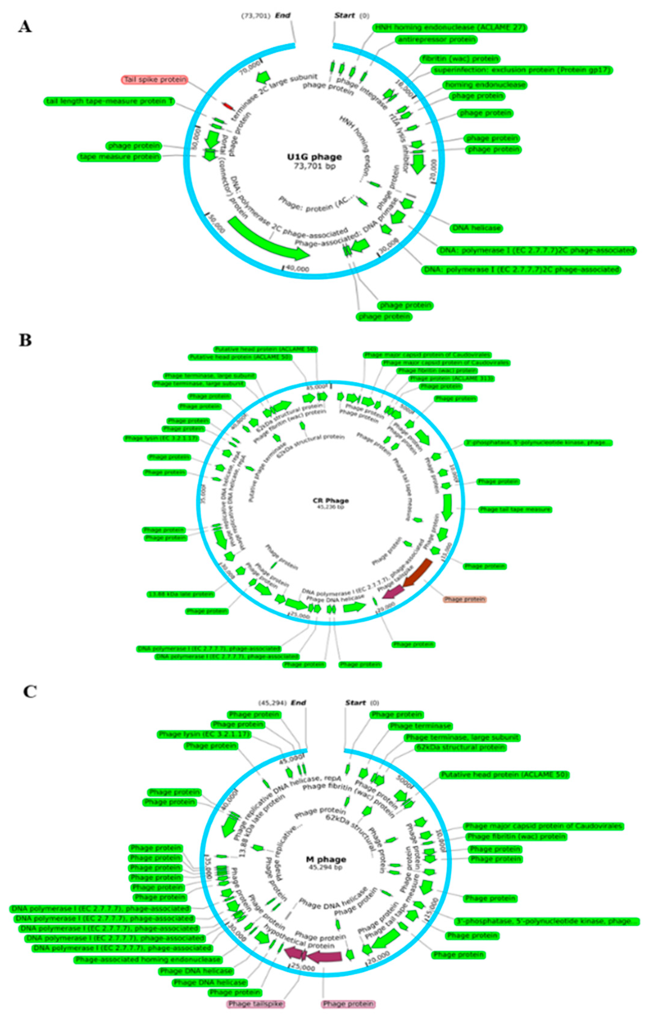 Preprints 78762 g002