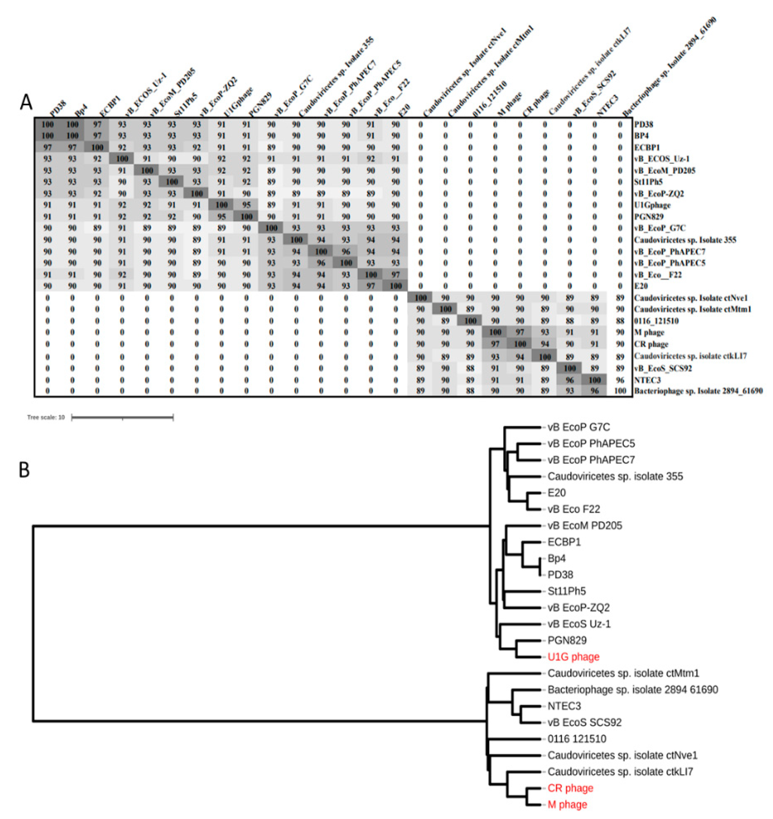 Preprints 78762 g003