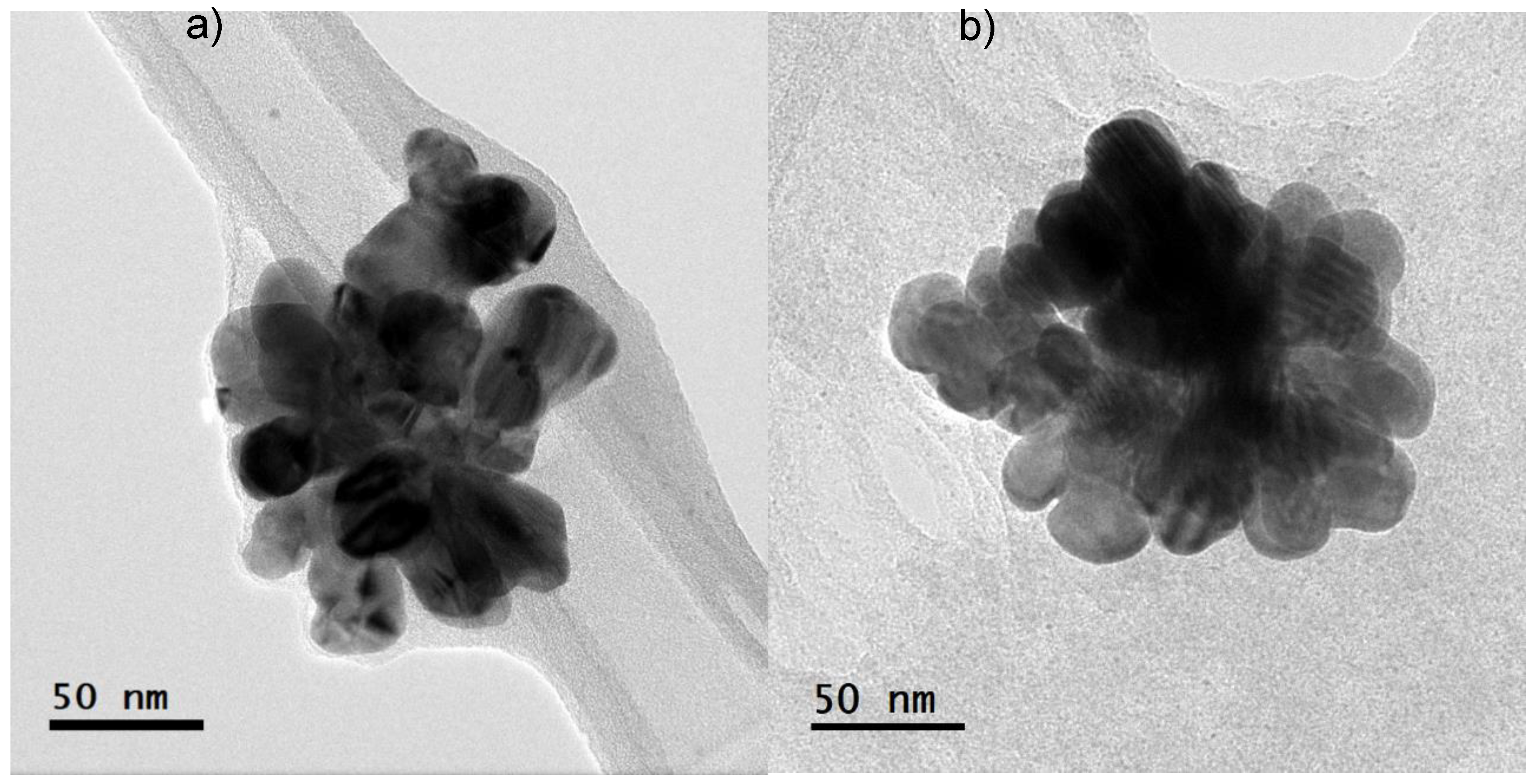 Preprints 119503 g002